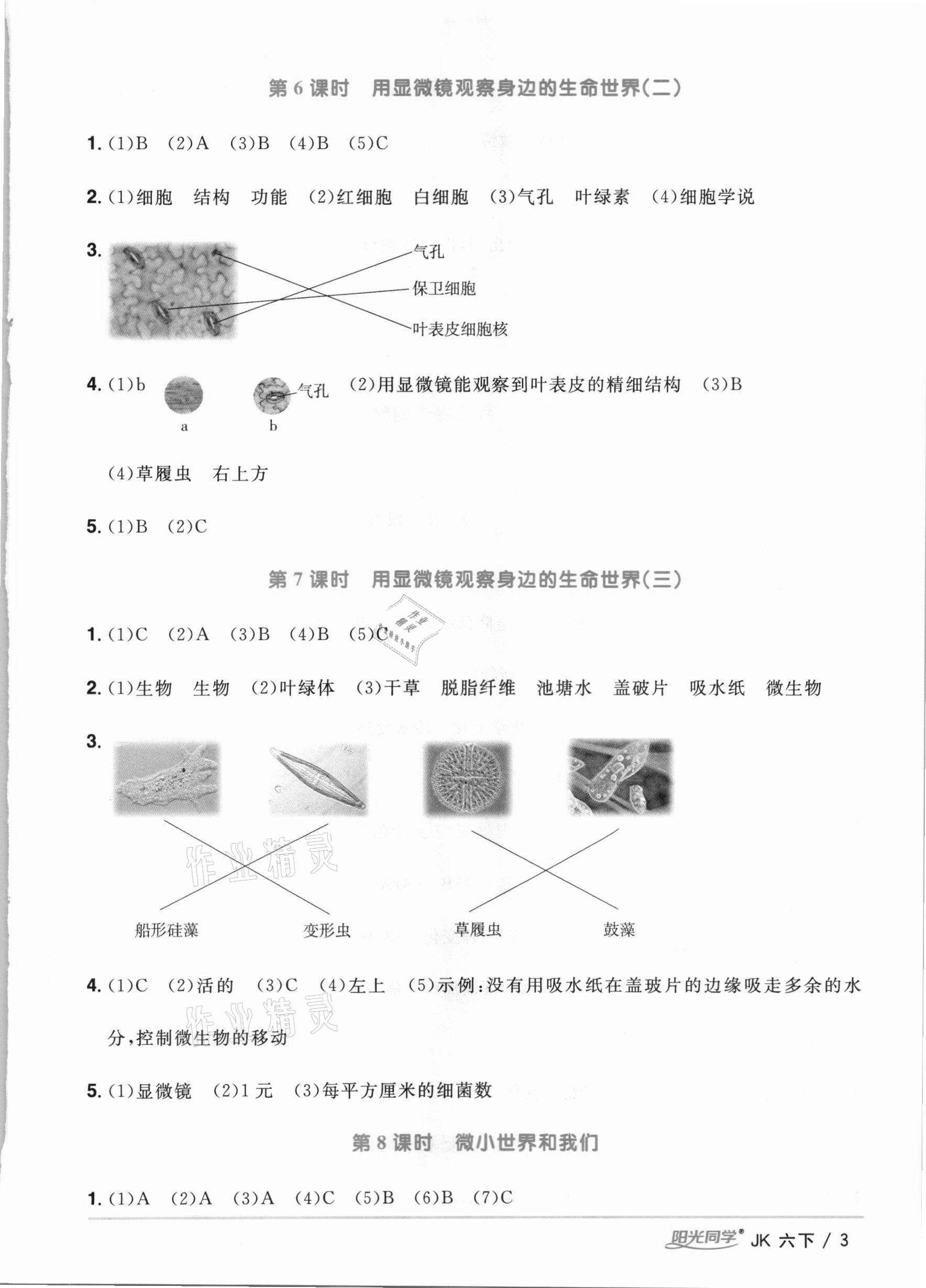 2021年陽光同學課時優(yōu)化作業(yè)六年級科學下冊教科版 參考答案第3頁