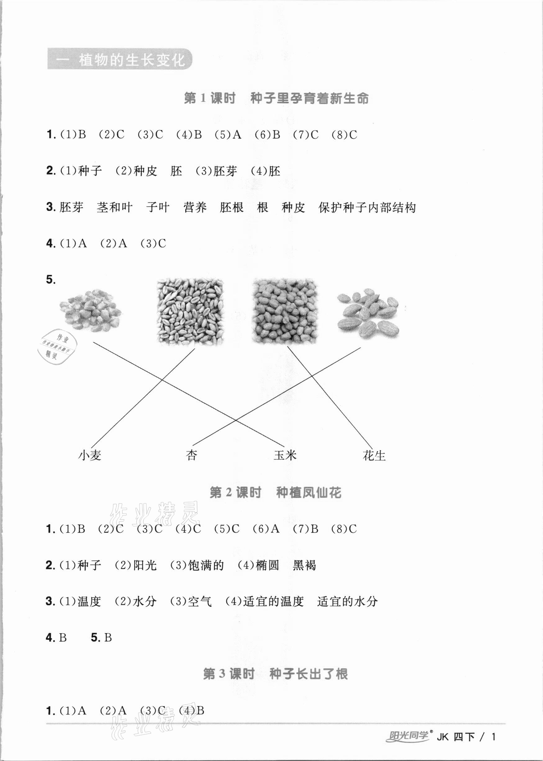 2021年阳光同学课时优化作业四年级科学下册教科版 参考答案第1页