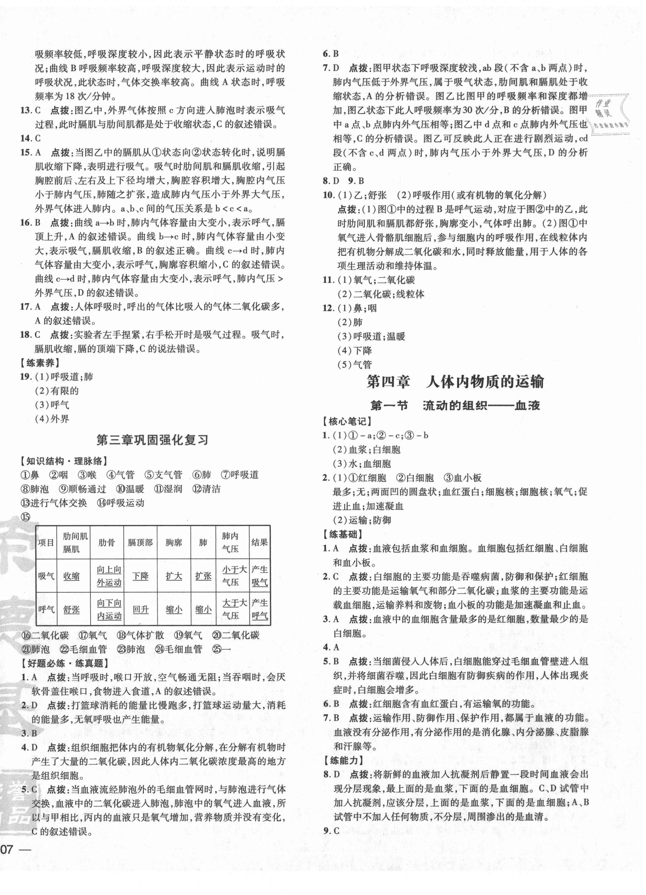 2021年點(diǎn)撥訓(xùn)練七年級生物下冊人教版 參考答案第6頁