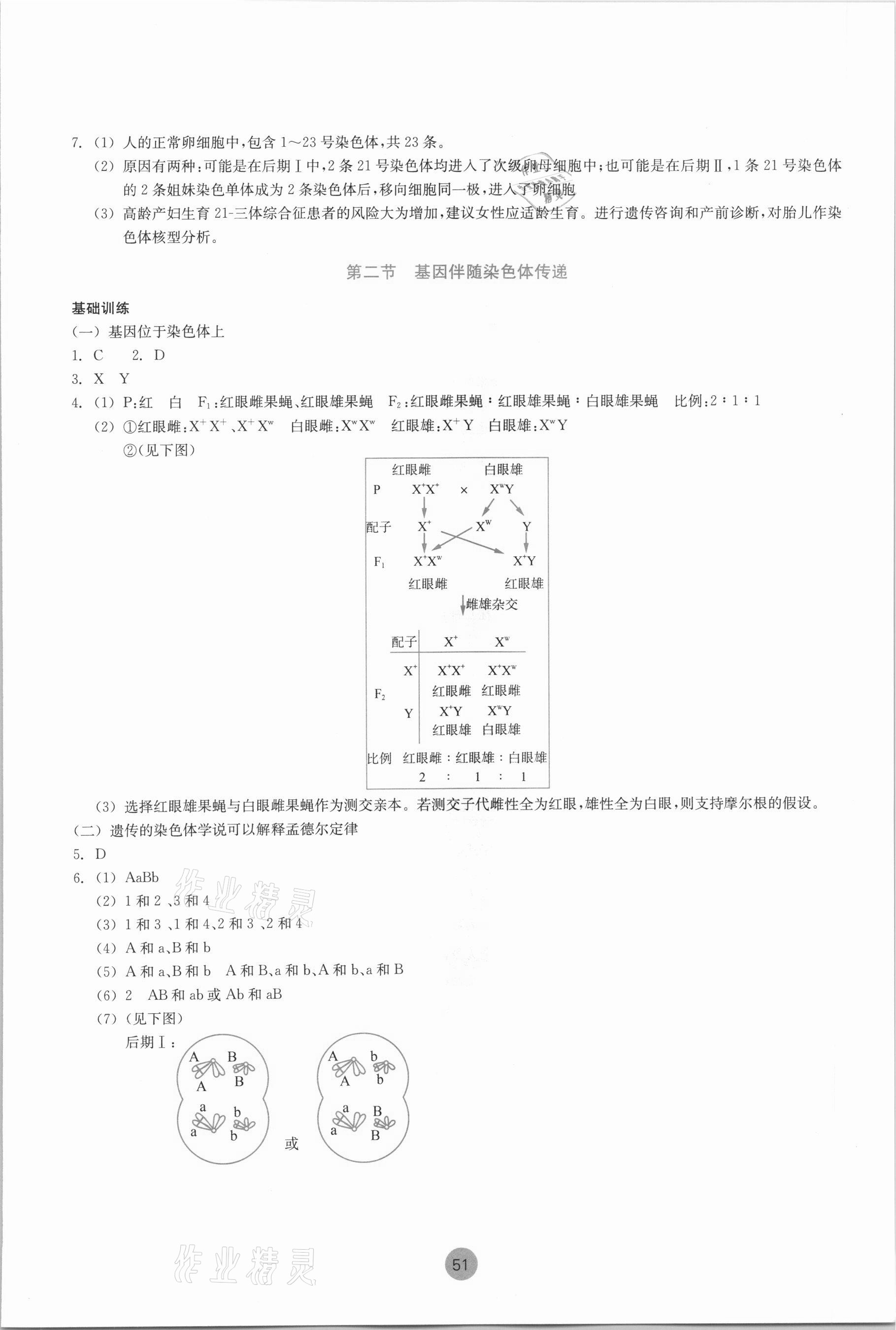 2021年作業(yè)本高中生物學(xué)必修2浙教版浙江教育出版社 參考答案第3頁(yè)