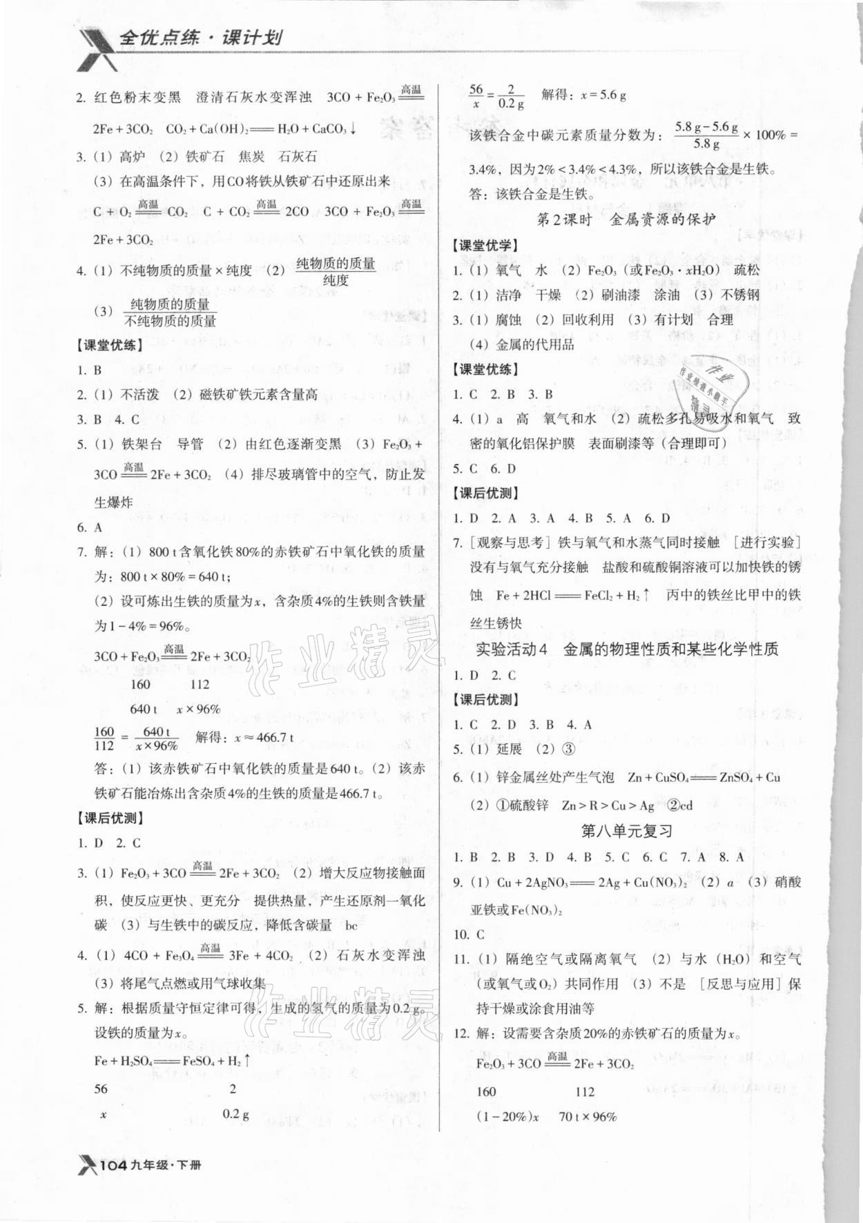 2021年全優(yōu)點(diǎn)練課計(jì)劃九年級(jí)化學(xué)下冊(cè)人教版 第2頁(yè)