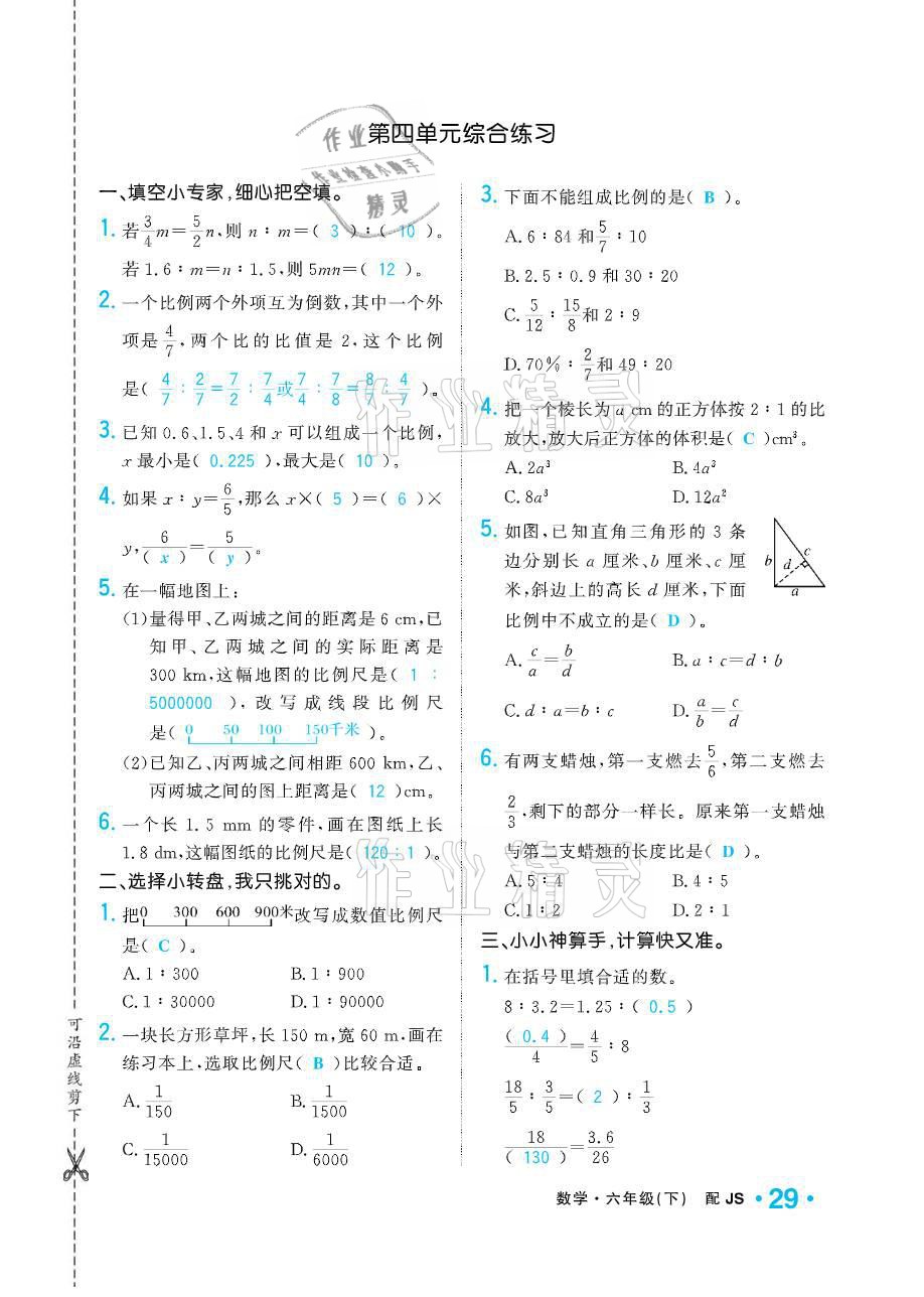 2021年小學(xué)1課3練培優(yōu)作業(yè)本六年級(jí)數(shù)學(xué)下冊(cè)江蘇版 參考答案第29頁