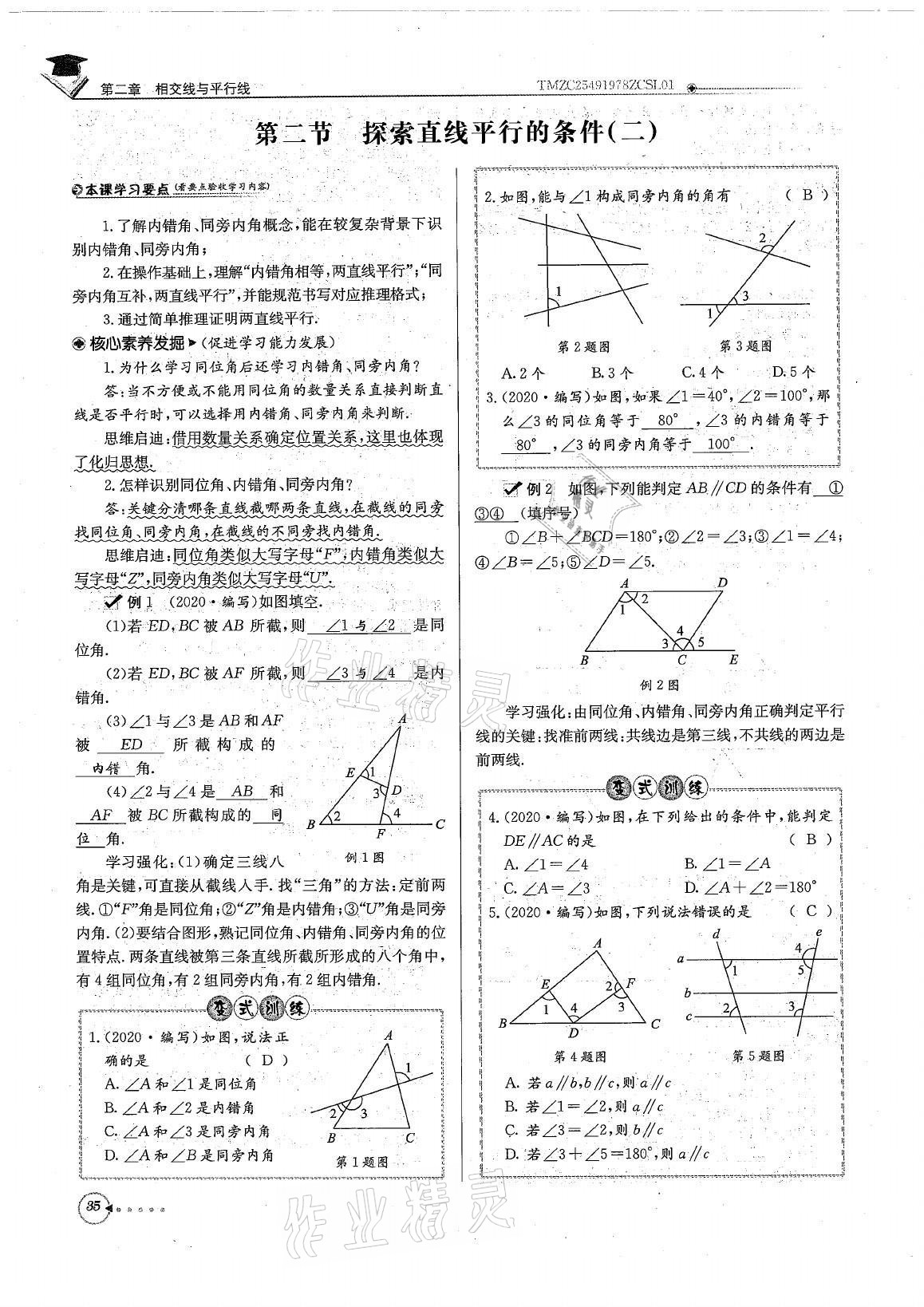 2021年初中数学每日核心导学七年级下册北师大版 参考答案第35页