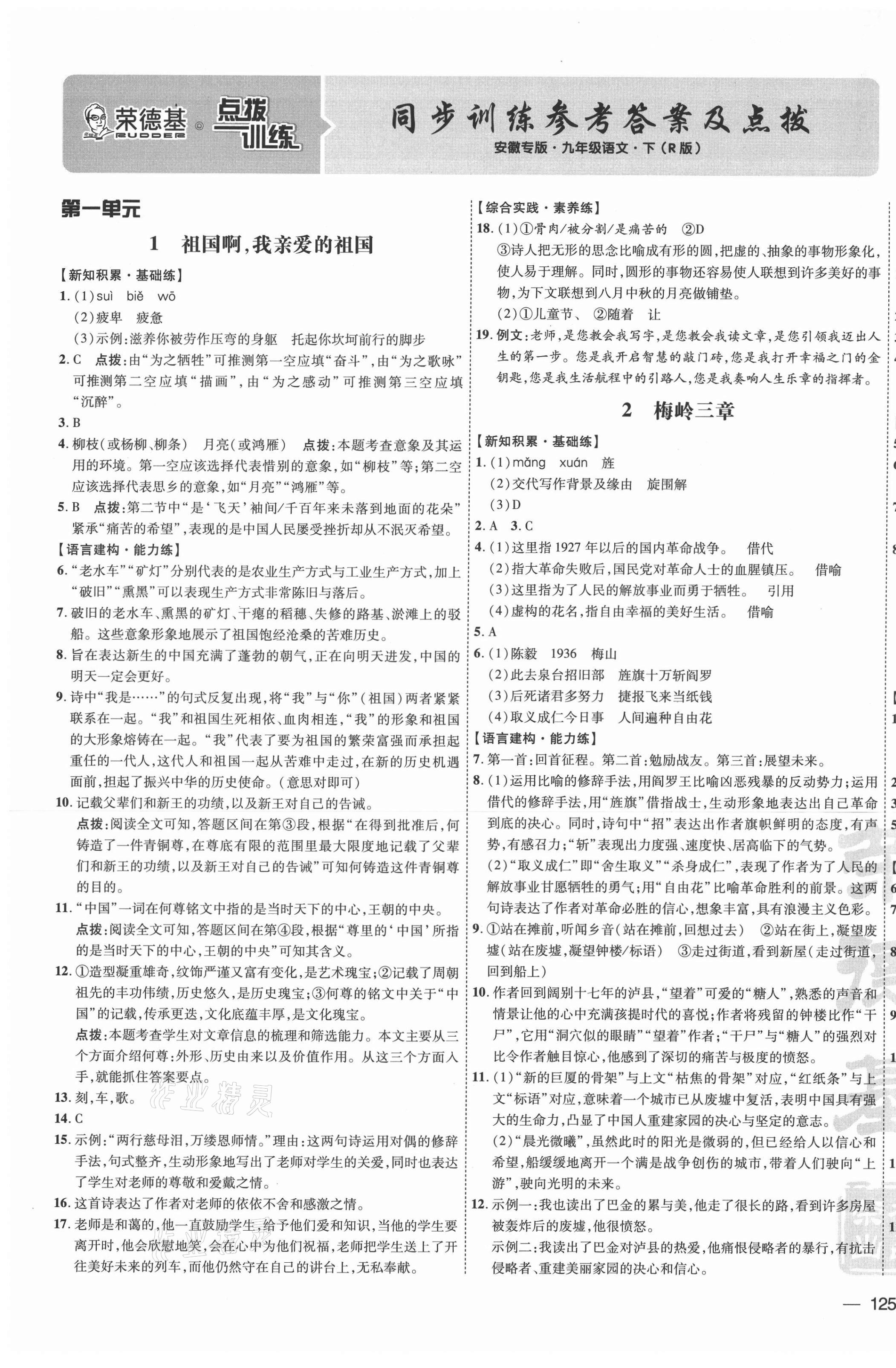 2021年點撥訓練九年級語文下冊人教版安徽專版 參考答案第1頁