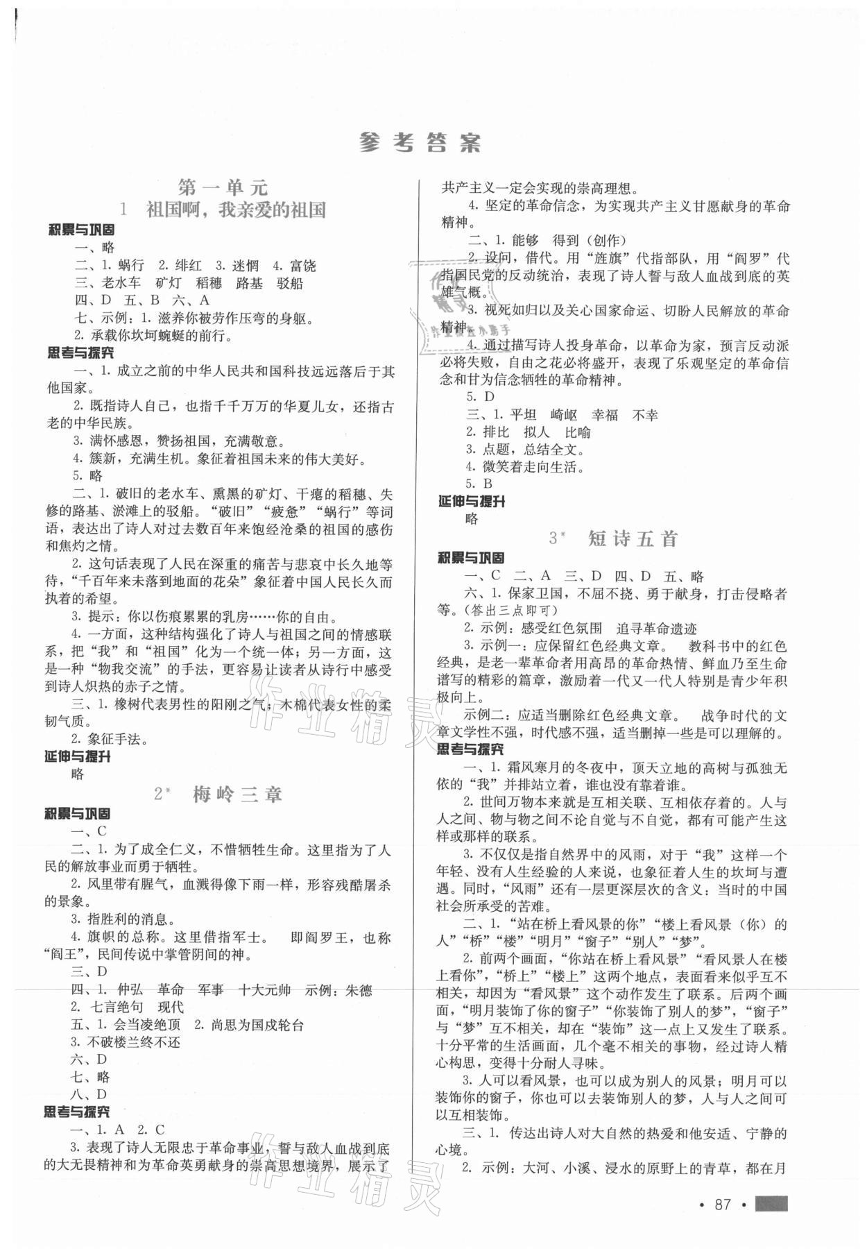 2020年新练习巩固方案九年级语文下册人教版 参考答案第1页