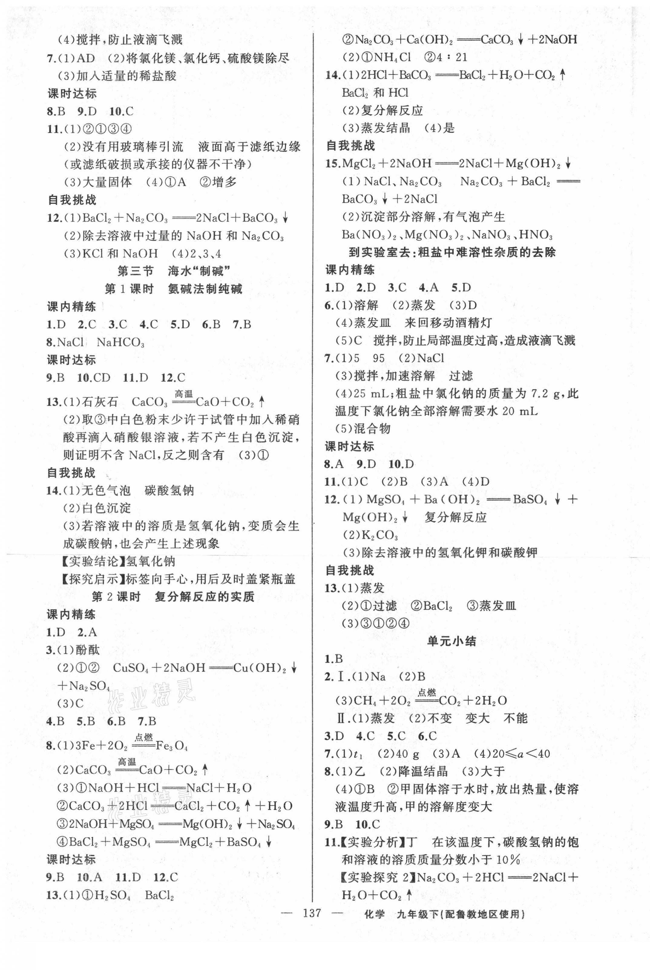 2021年黄冈金牌之路练闯考九年级化学下册鲁教版 第5页