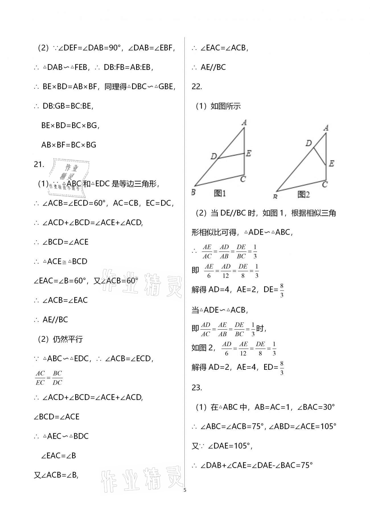 2021年寒假作业九年级合订本B版河南专版延边教育出版社 参考答案第5页