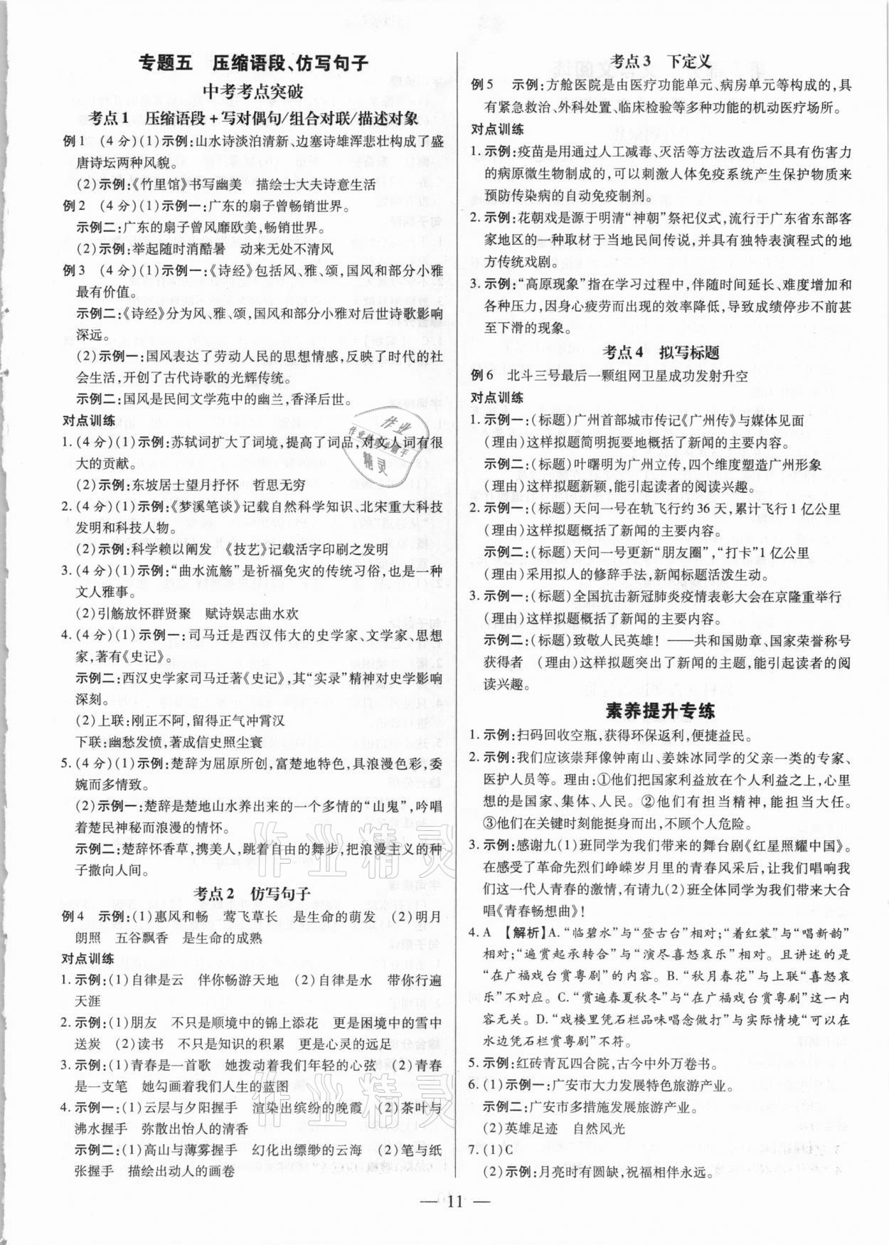 2021年领跑中考语文广东专版 第11页