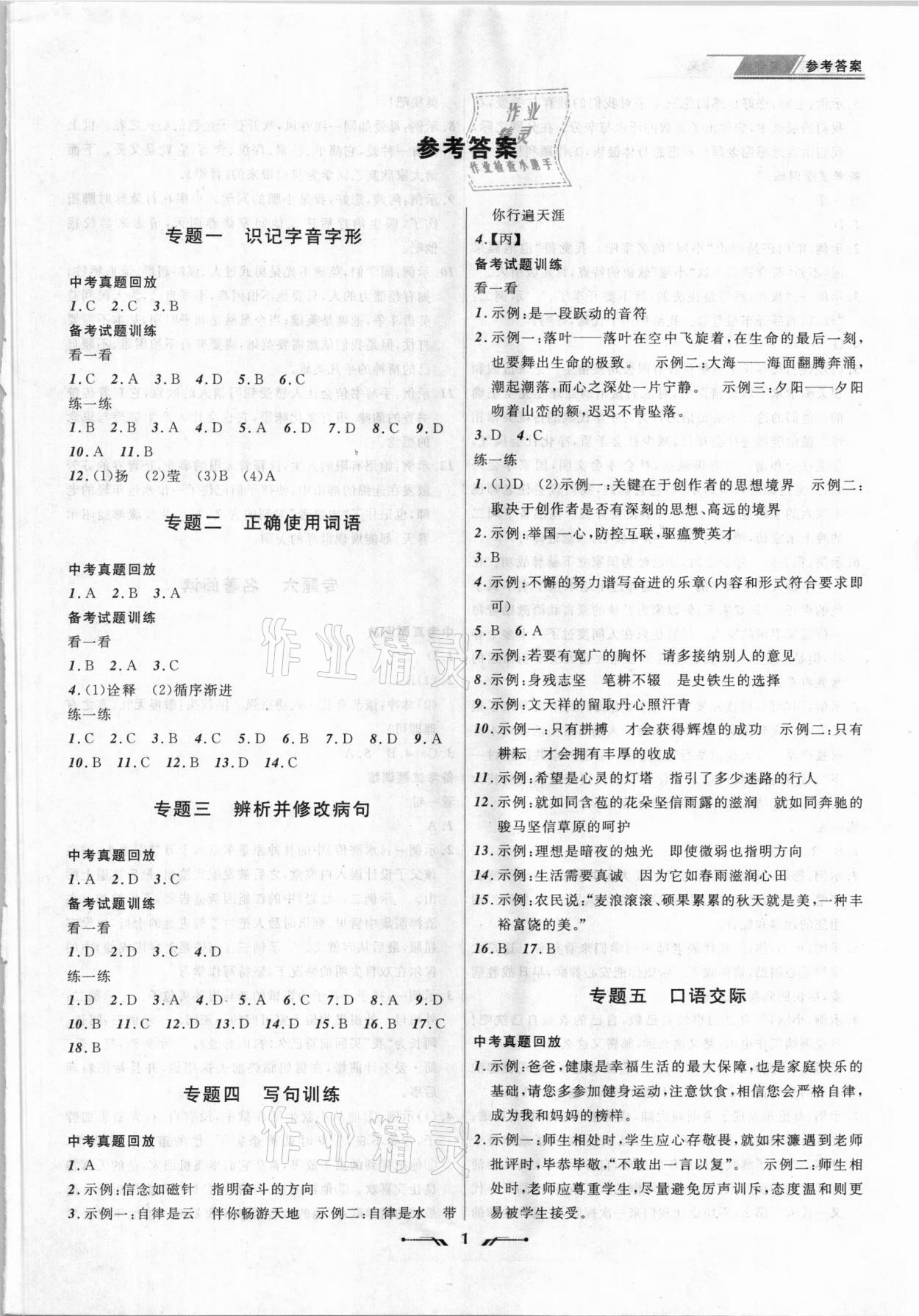 2021年中考全程复习训练语文丹东专版 第1页
