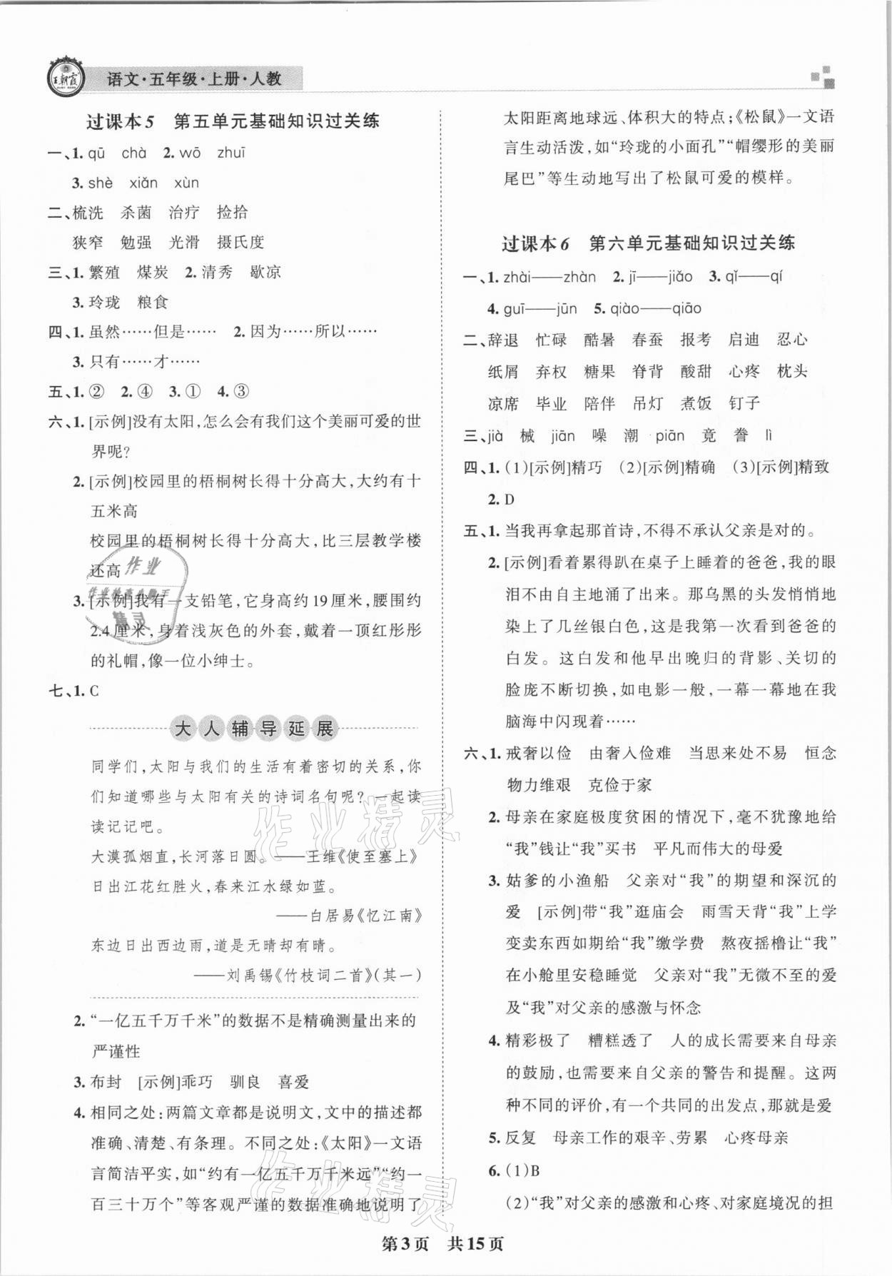 2020年王朝霞期末真题精编五年级语文上册人教版南阳专版 参考答案第3页