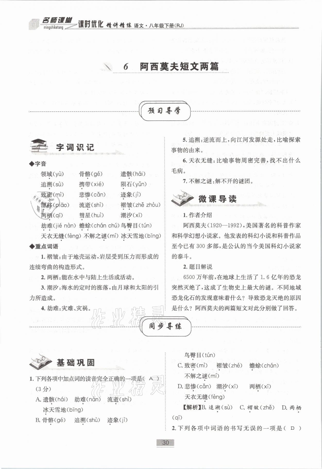 2021年名师课堂课时优化精讲精练八年级语文下册人教版 第30页