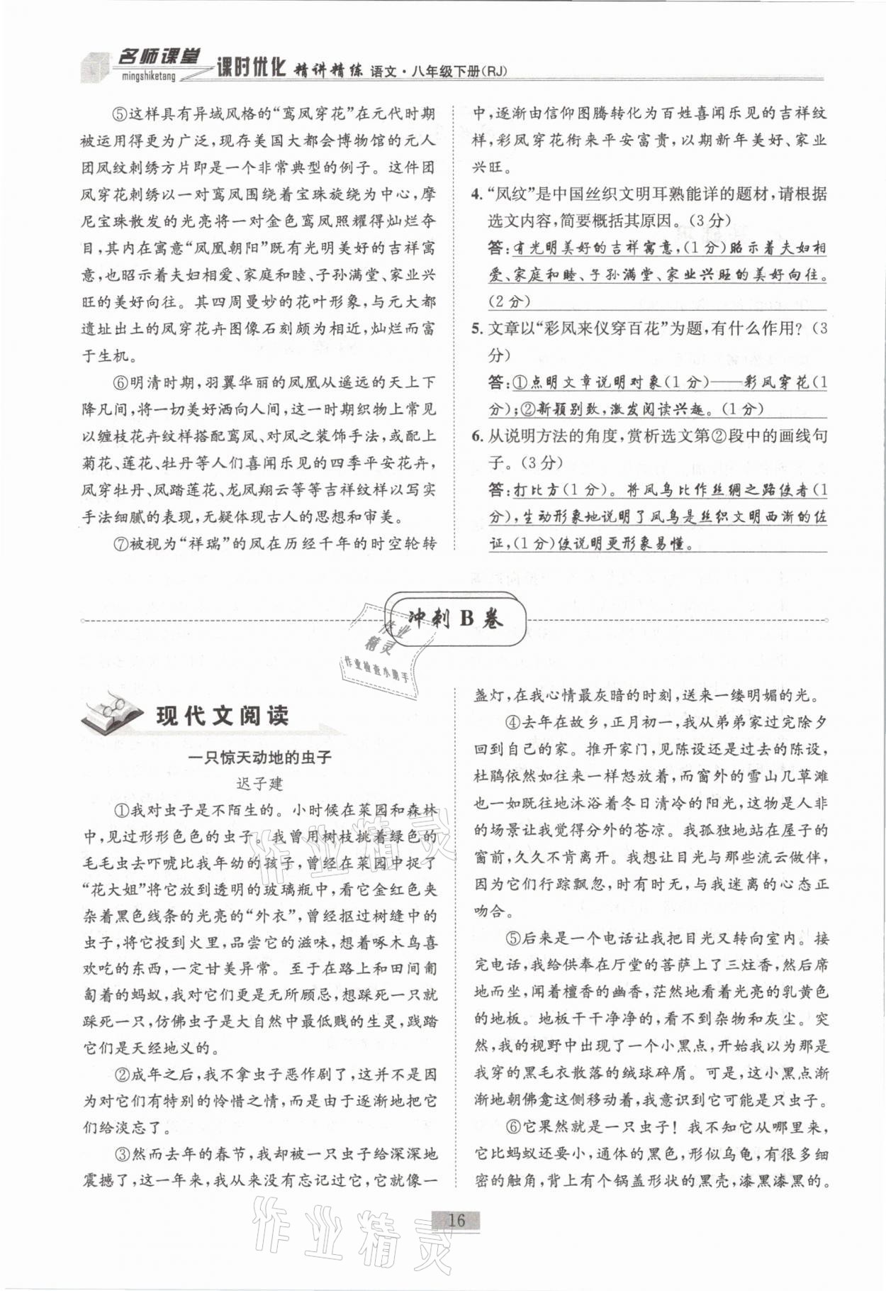 2021年名师课堂课时优化精讲精练八年级语文下册人教版 第16页