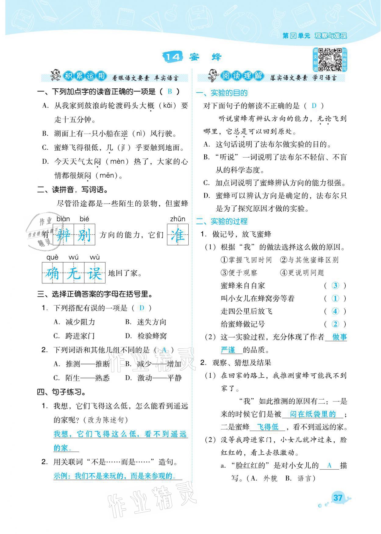 2021年綜合應(yīng)用創(chuàng)新題典中點三年級語文下冊人教版福建專版 參考答案第37頁