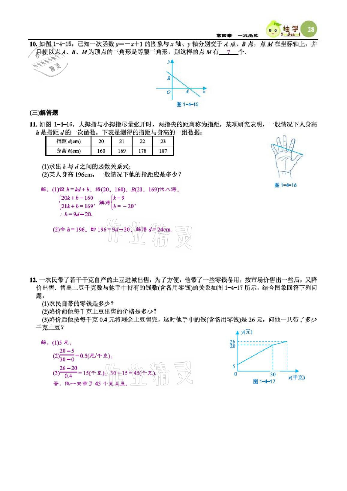 2020年智能作业与测评期末复习与假期作业八年级数学上册北师大版 参考答案第28页