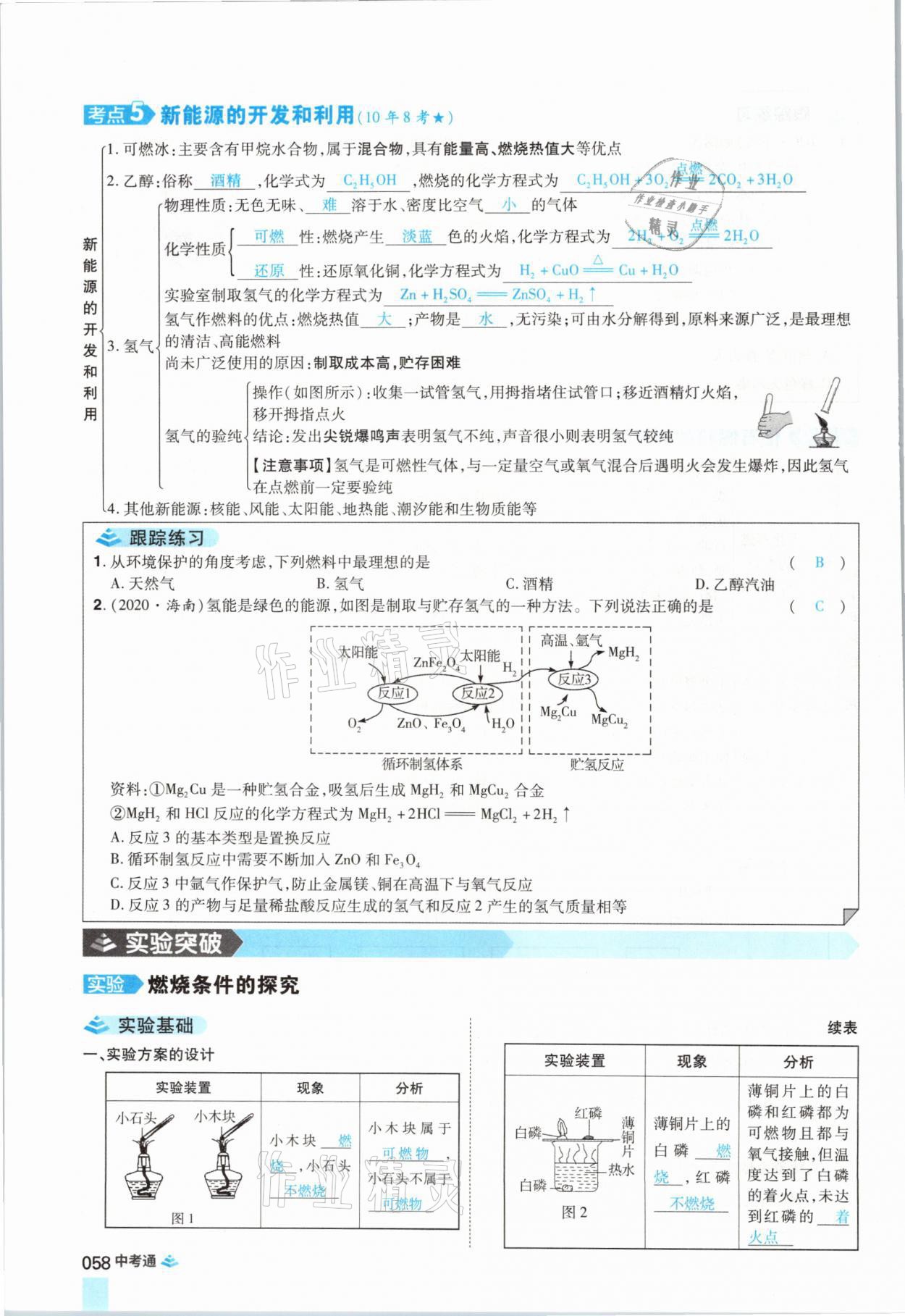 2021年中考通化学河南专版郑州大学出版社 参考答案第58页