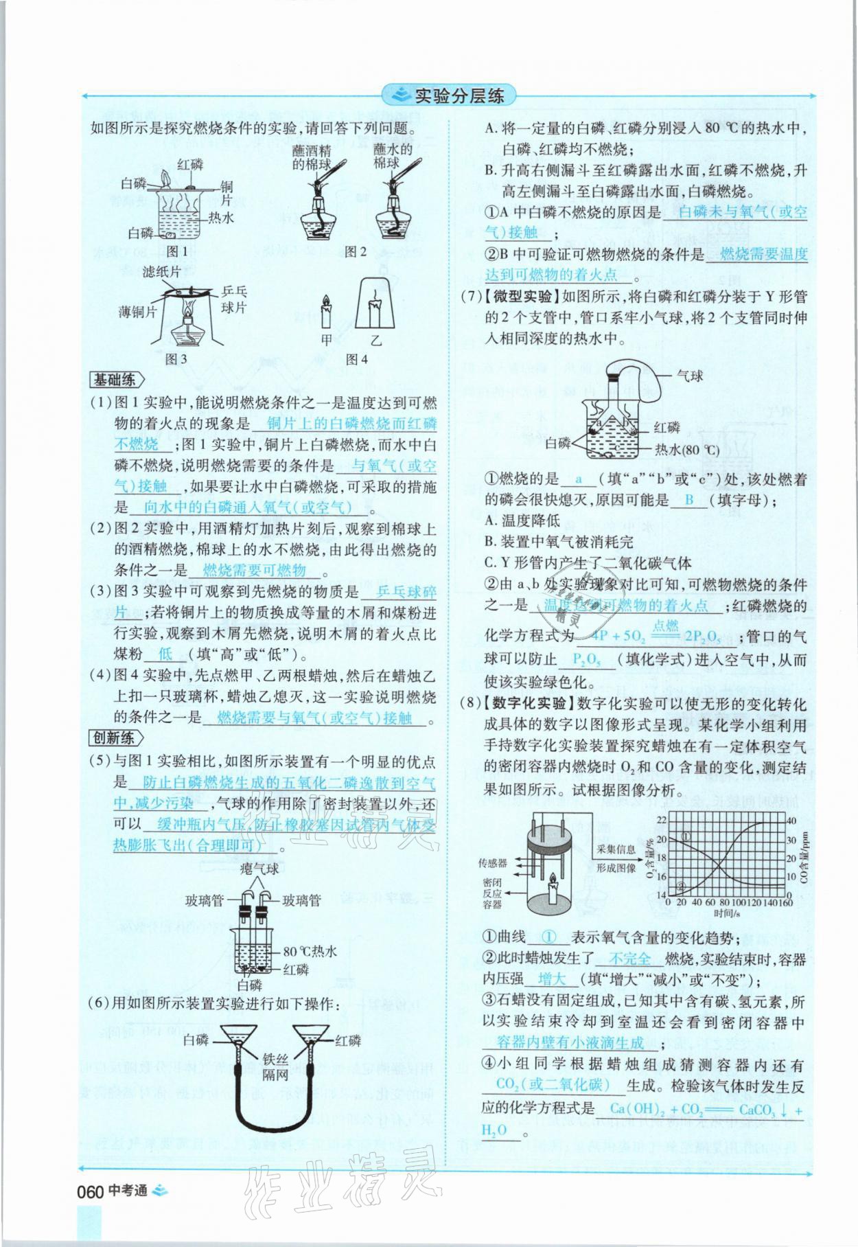 2021年中考通化学河南专版郑州大学出版社 参考答案第60页