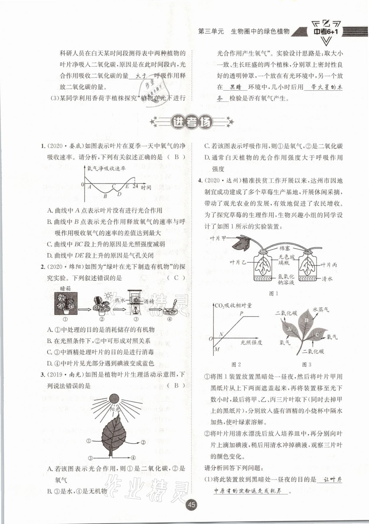 2021年中考6加1生物人教版达州专版 第45页