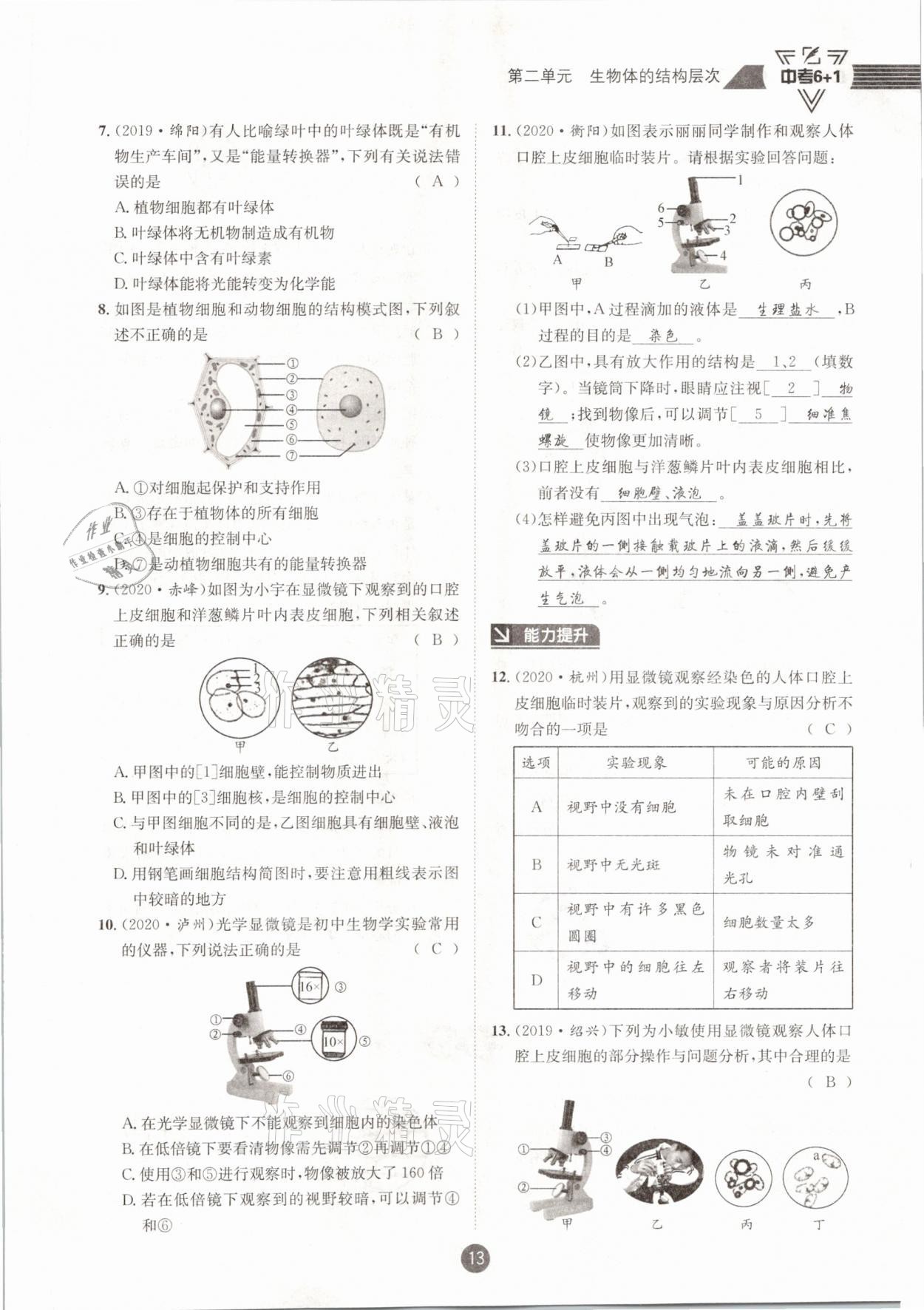 2021年中考6加1生物人教版达州专版 第13页