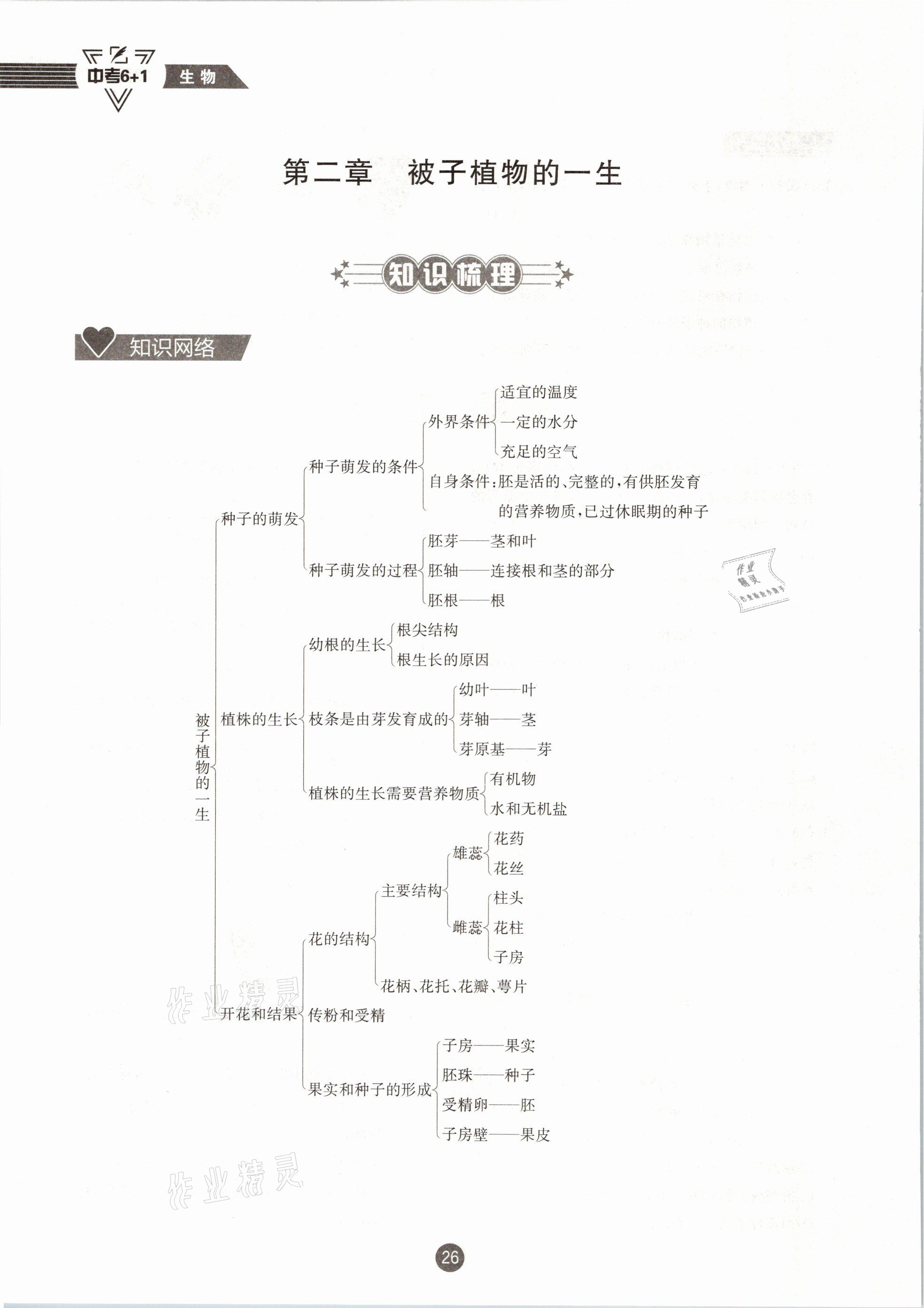 2021年中考6加1生物人教版达州专版 第26页