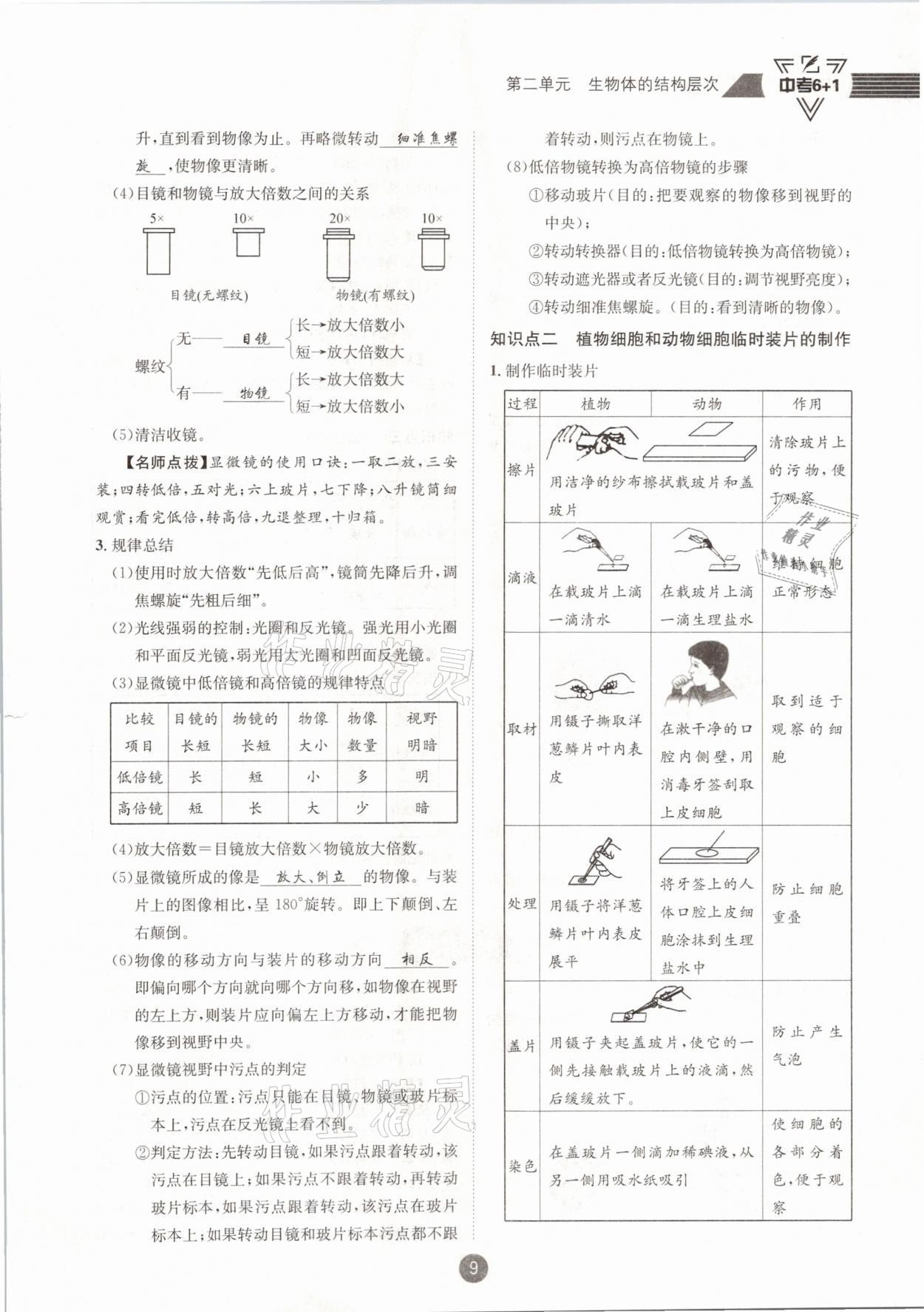 2021年中考6加1生物人教版达州专版 第9页