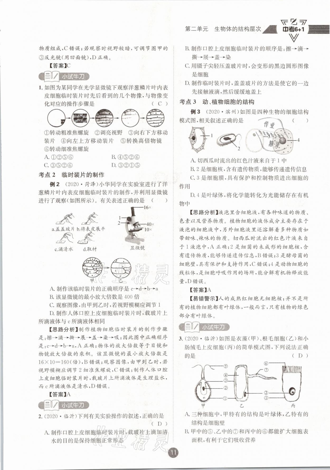 2021年中考6加1生物人教版达州专版 第11页