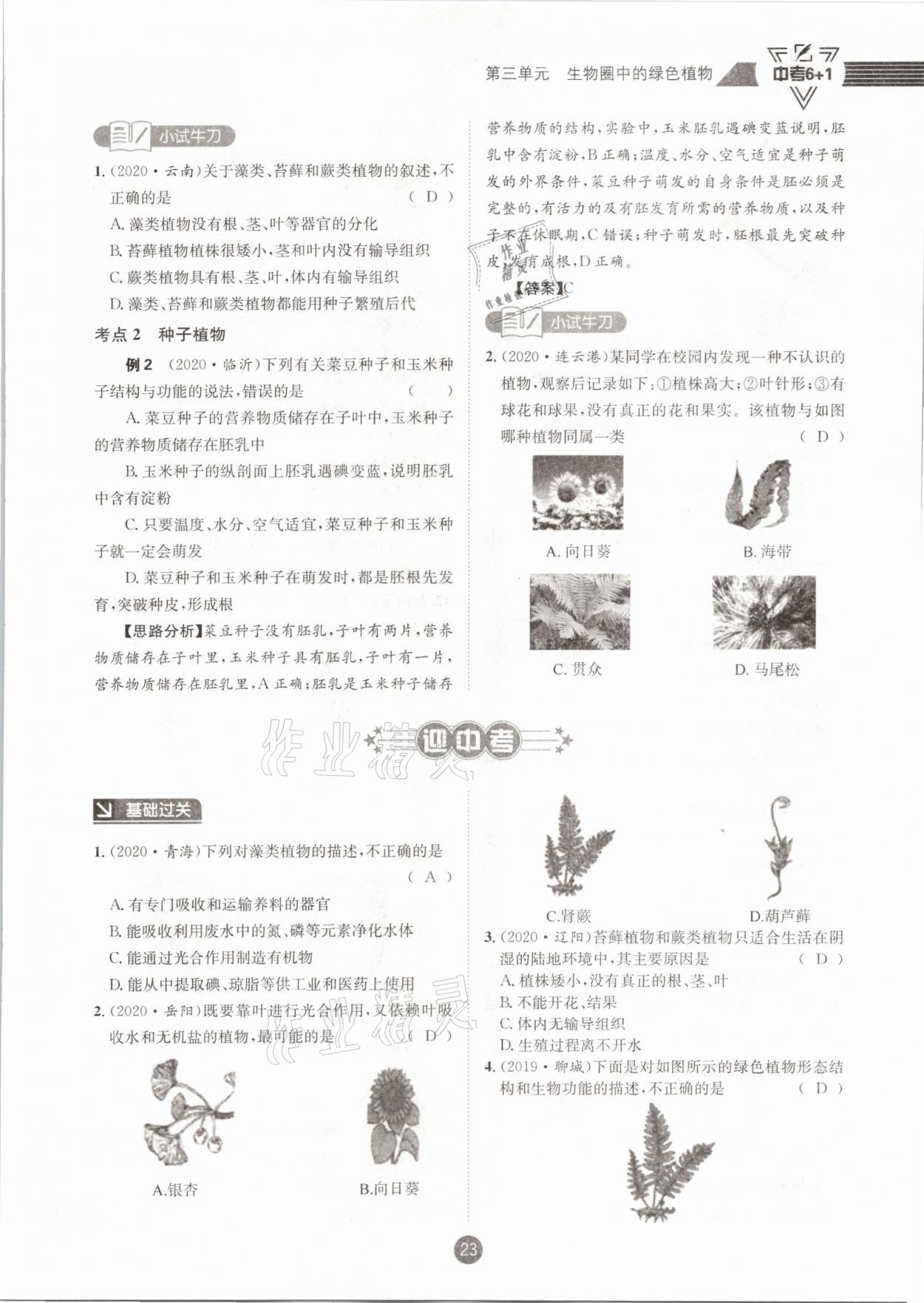 2021年中考6加1生物人教版达州专版 第23页