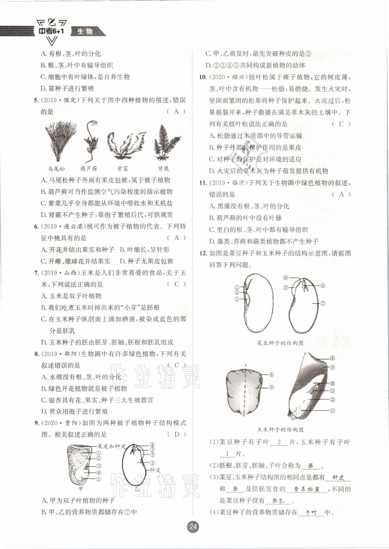 2021年中考6加1生物人教版达州专版 第24页