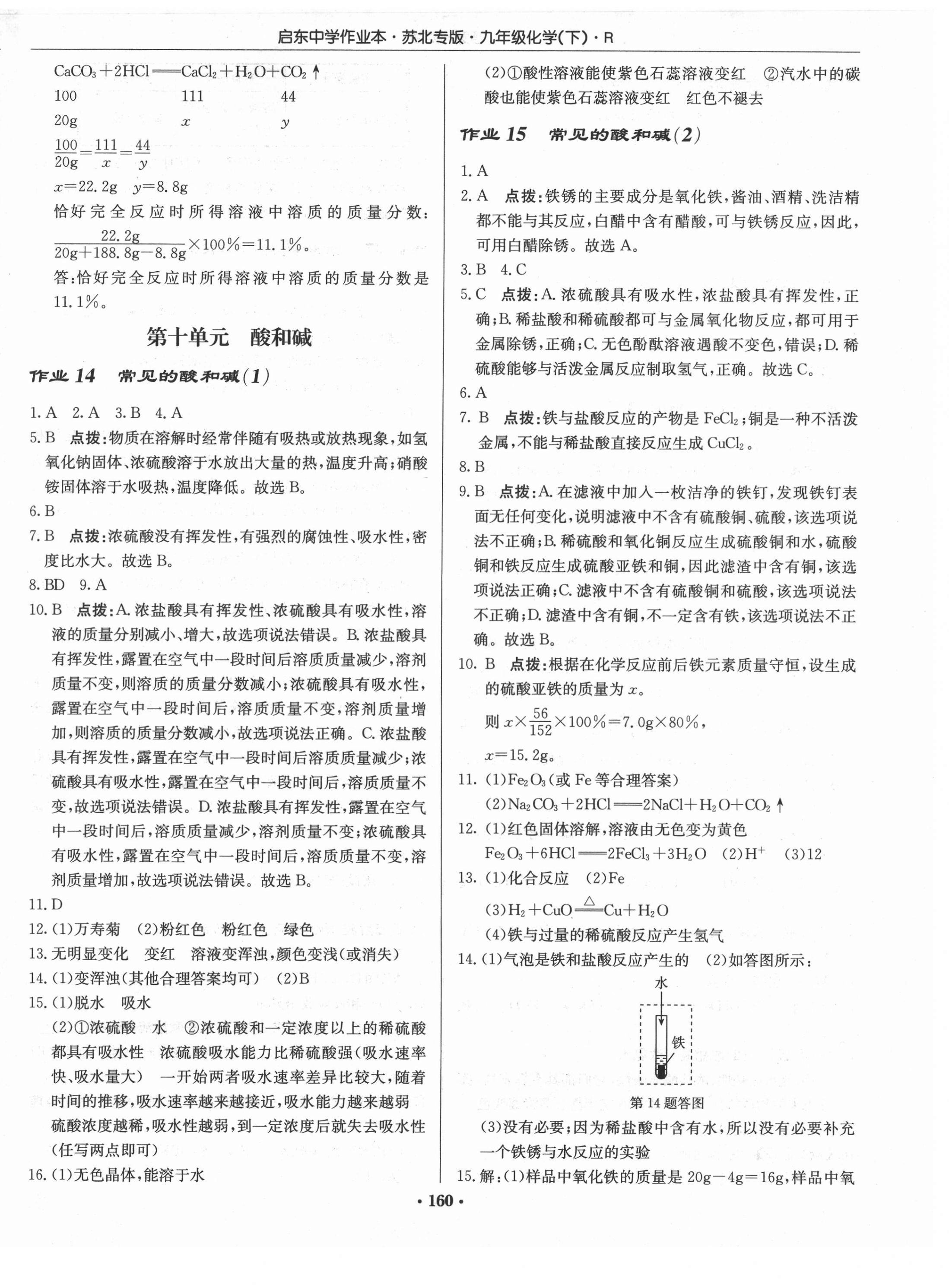 2021年启东中学作业本九年级化学下册人教版苏北专版 第10页