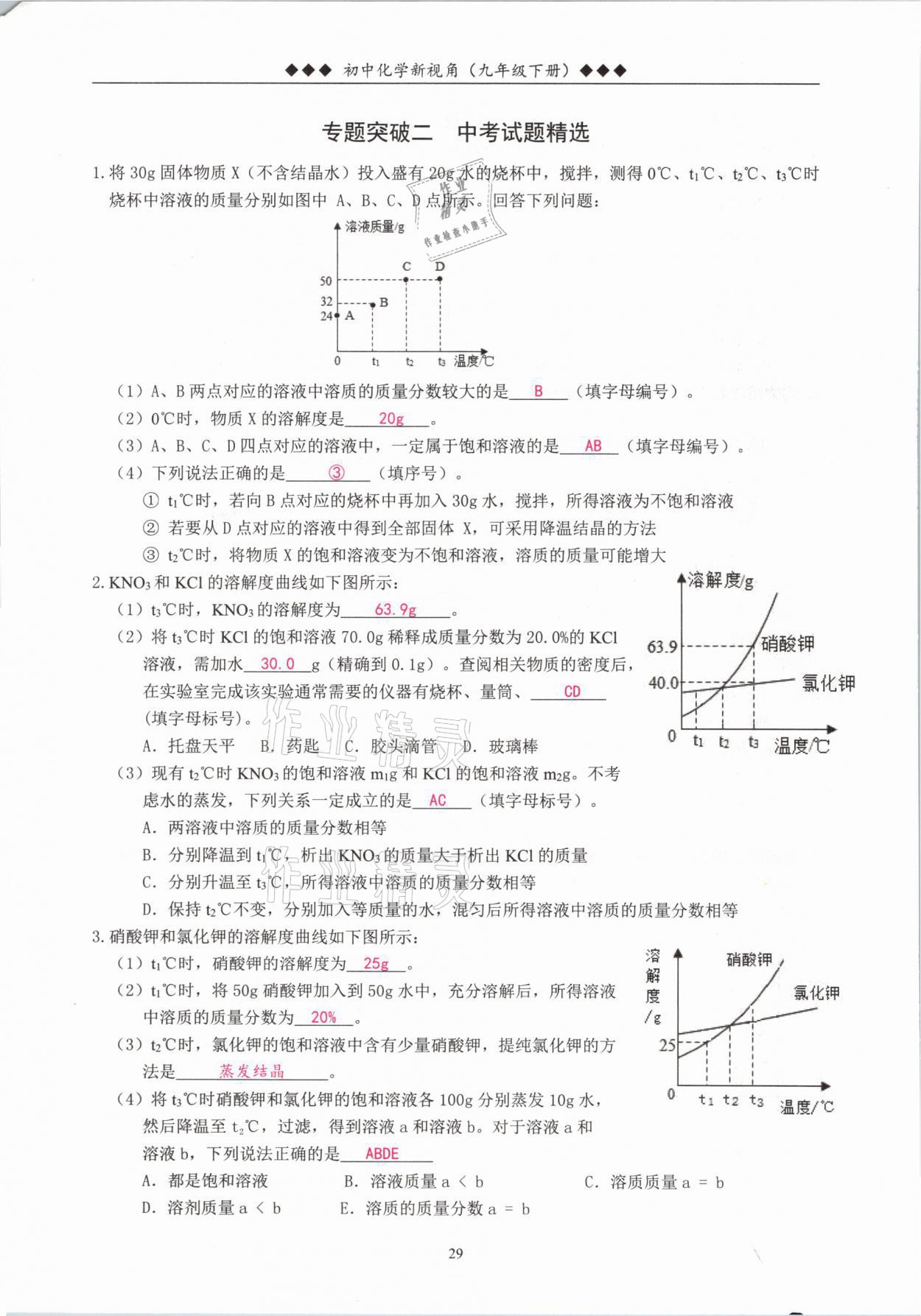 2021年新视角教辅系列丛书九年级化学下册人教版 参考答案第29页