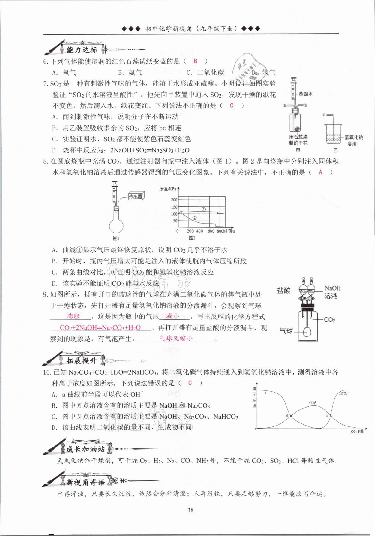 2021年新视角教辅系列丛书九年级化学下册人教版 参考答案第38页