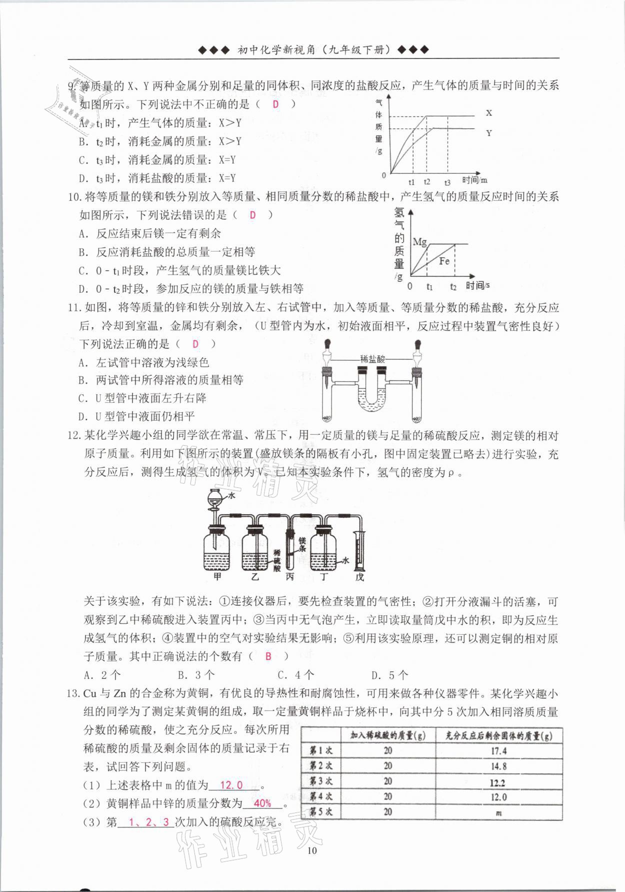 2021年新视角教辅系列丛书九年级化学下册人教版 参考答案第10页