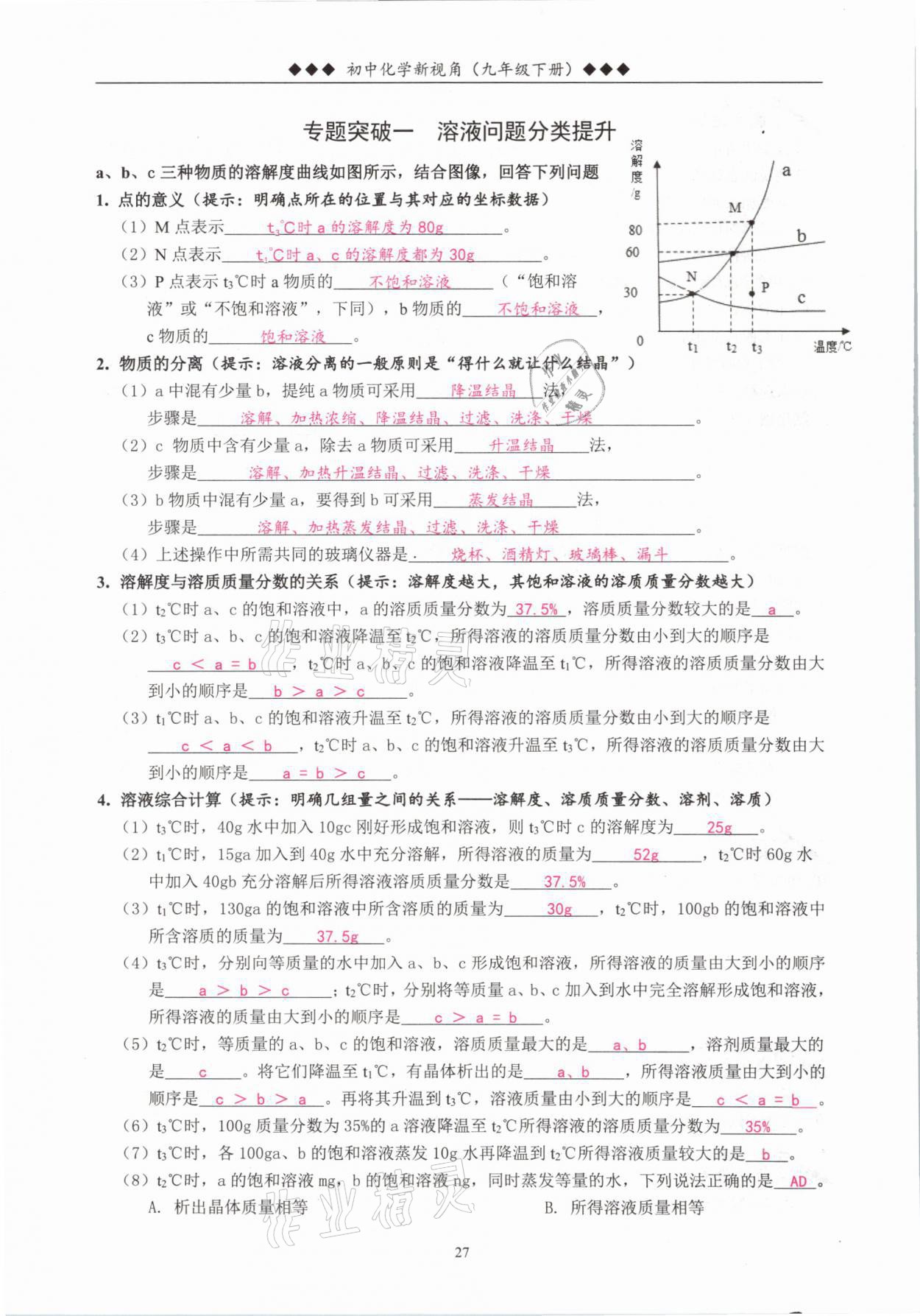 2021年新视角教辅系列丛书九年级化学下册人教版 参考答案第27页