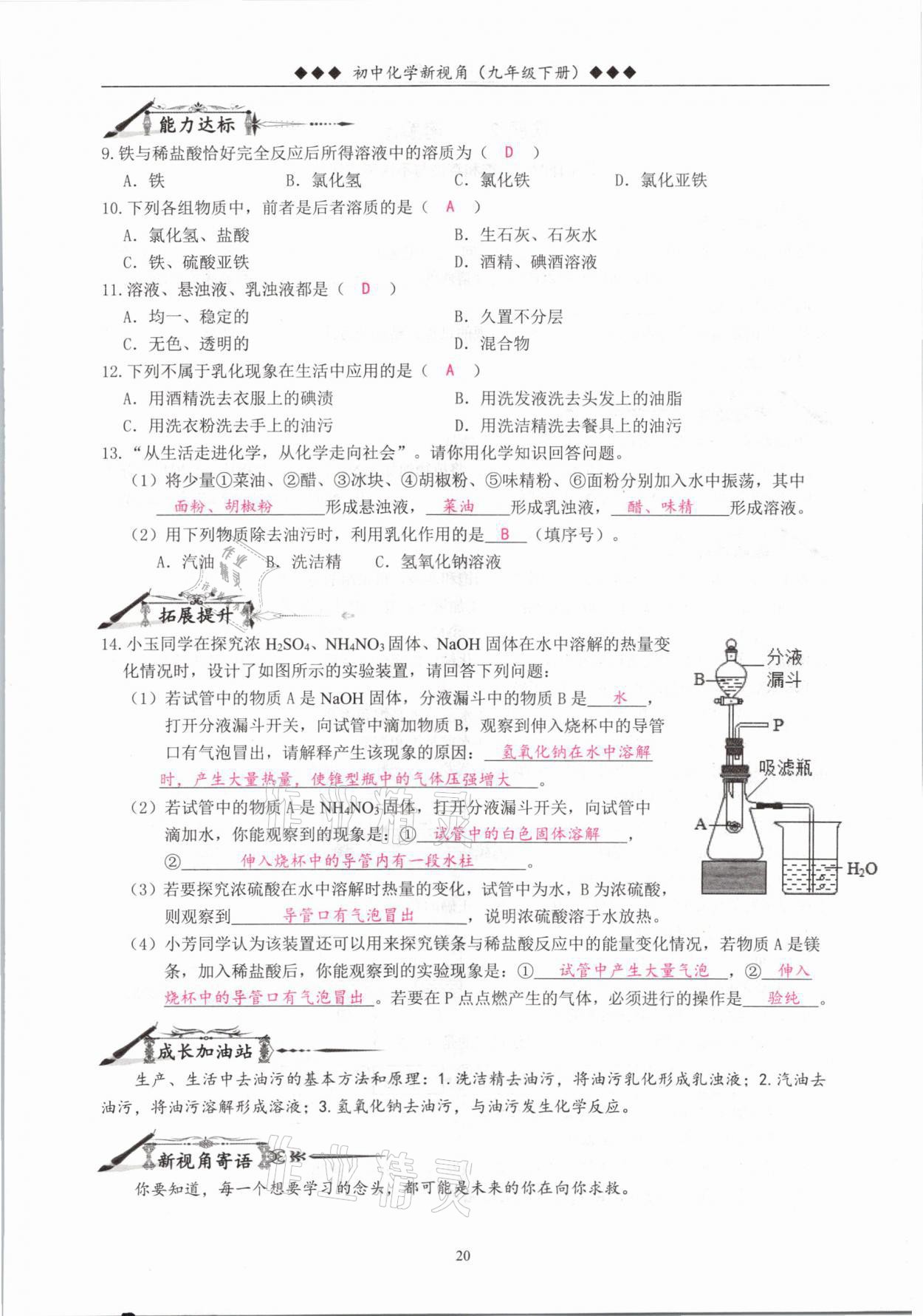 2021年新视角教辅系列丛书九年级化学下册人教版 参考答案第20页