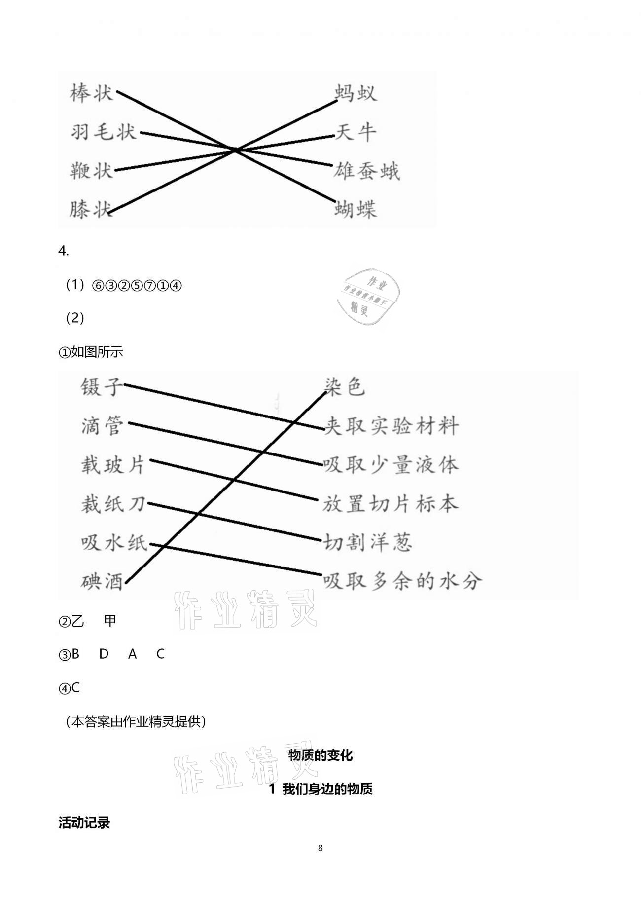 2021年作业本六年级科学下册教科版浙江教育出版社 第8页