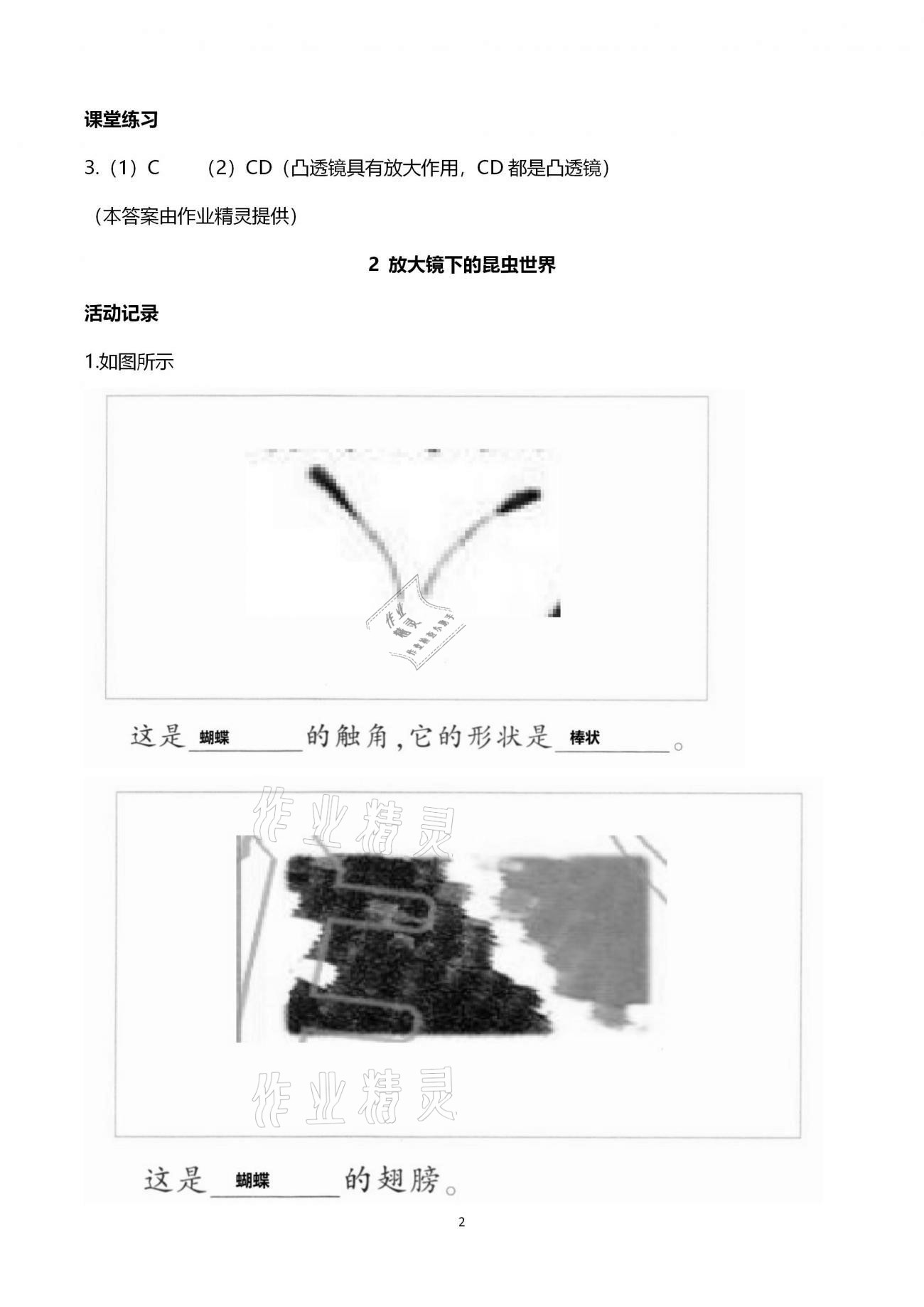 2021年作業(yè)本六年級科學下冊教科版浙江教育出版社 第2頁