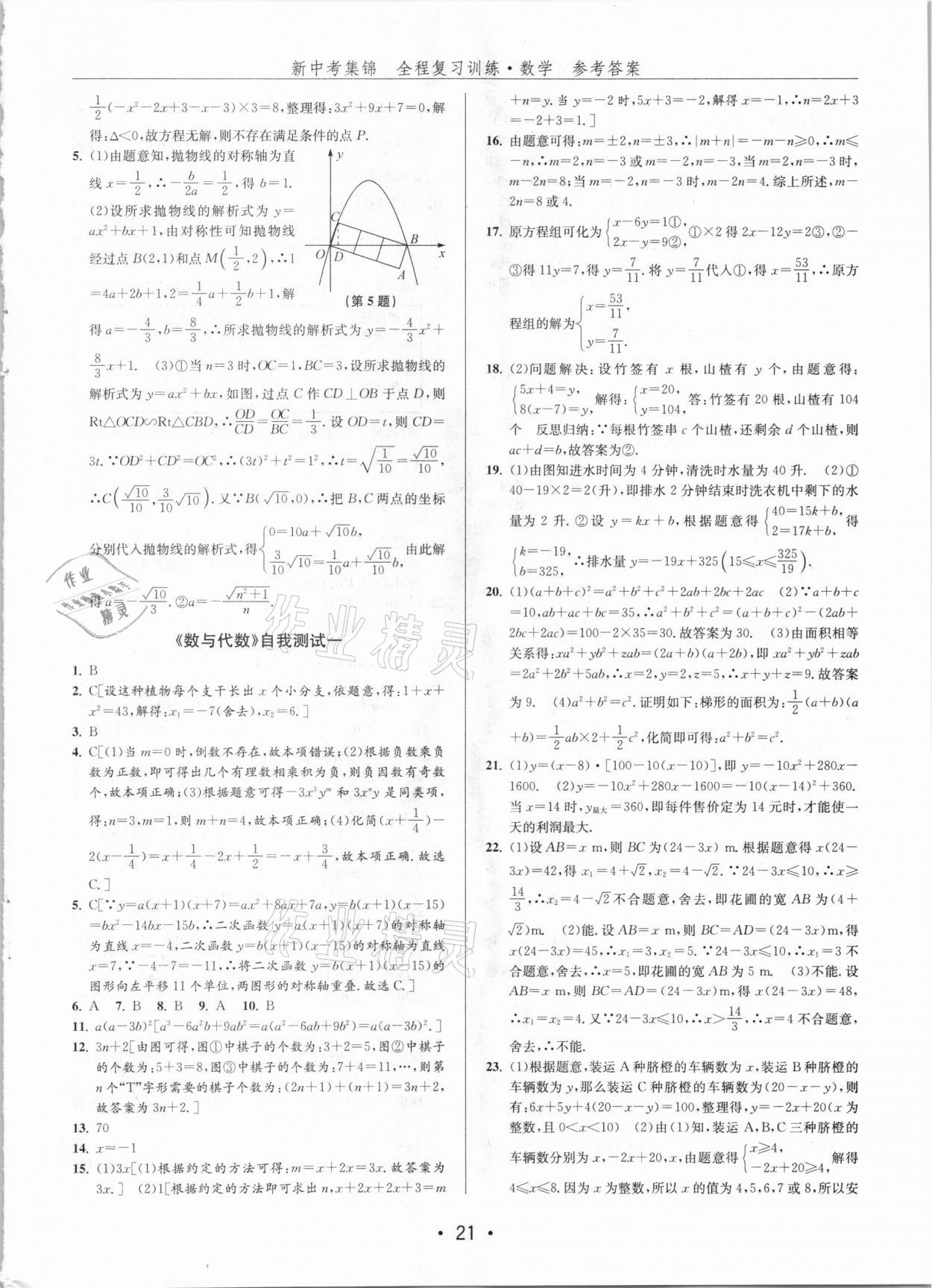 2021年新中考集锦全程复习训练数学 第21页
