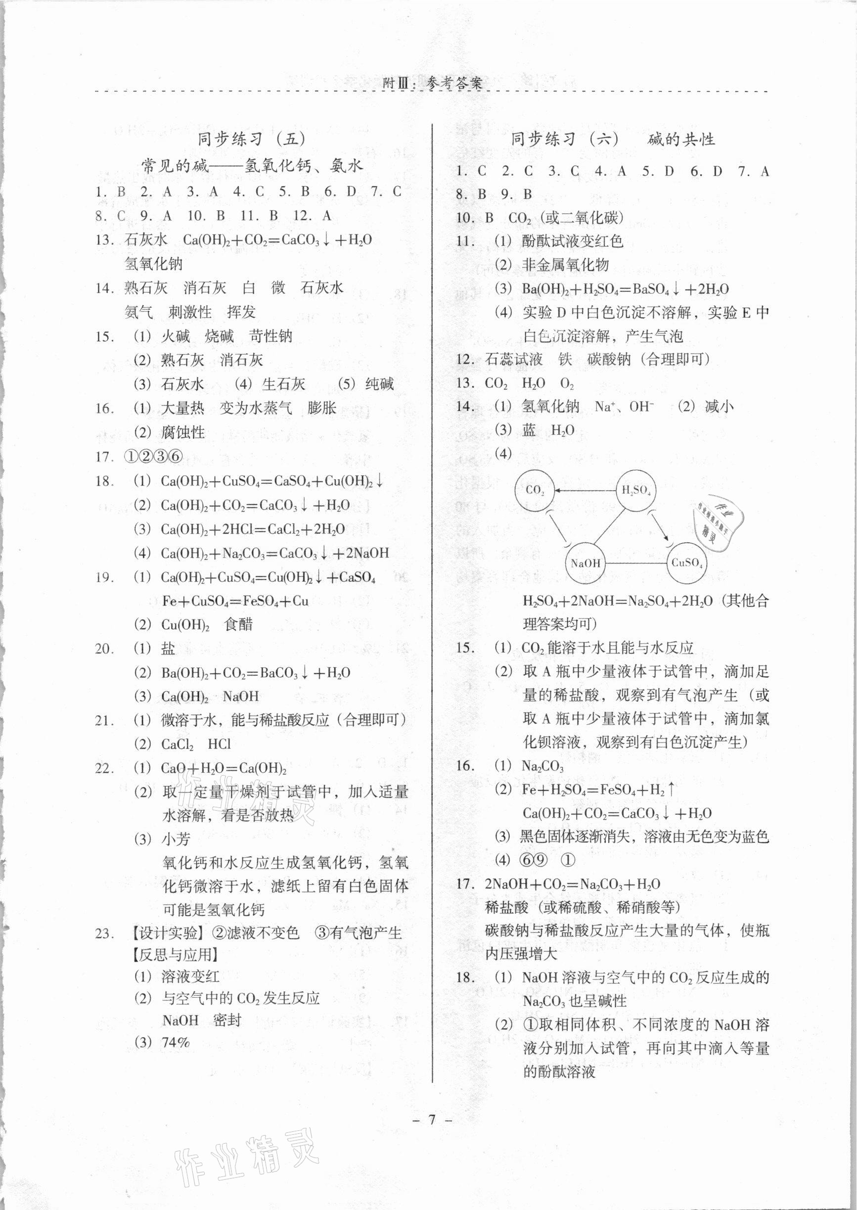 2021年启文引路九年级化学下学期沪教版 参考答案第7页
