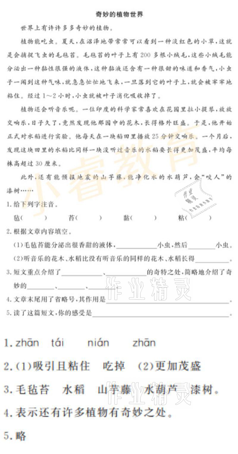 2021年湘岳假期寒假作业五年级语文 参考答案第2页