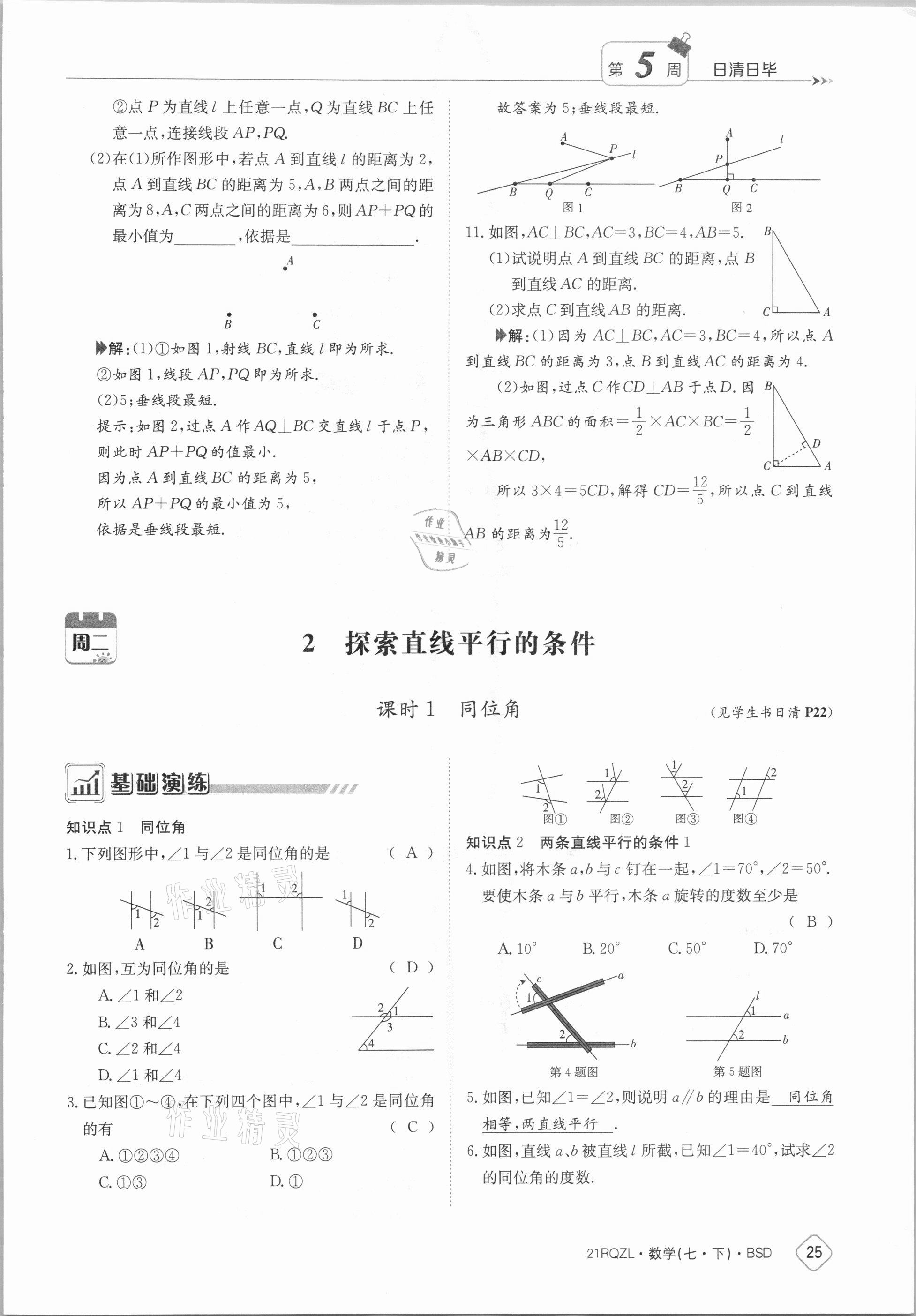 2021年日清周練七年級數(shù)學(xué)下冊北師大版 參考答案第25頁