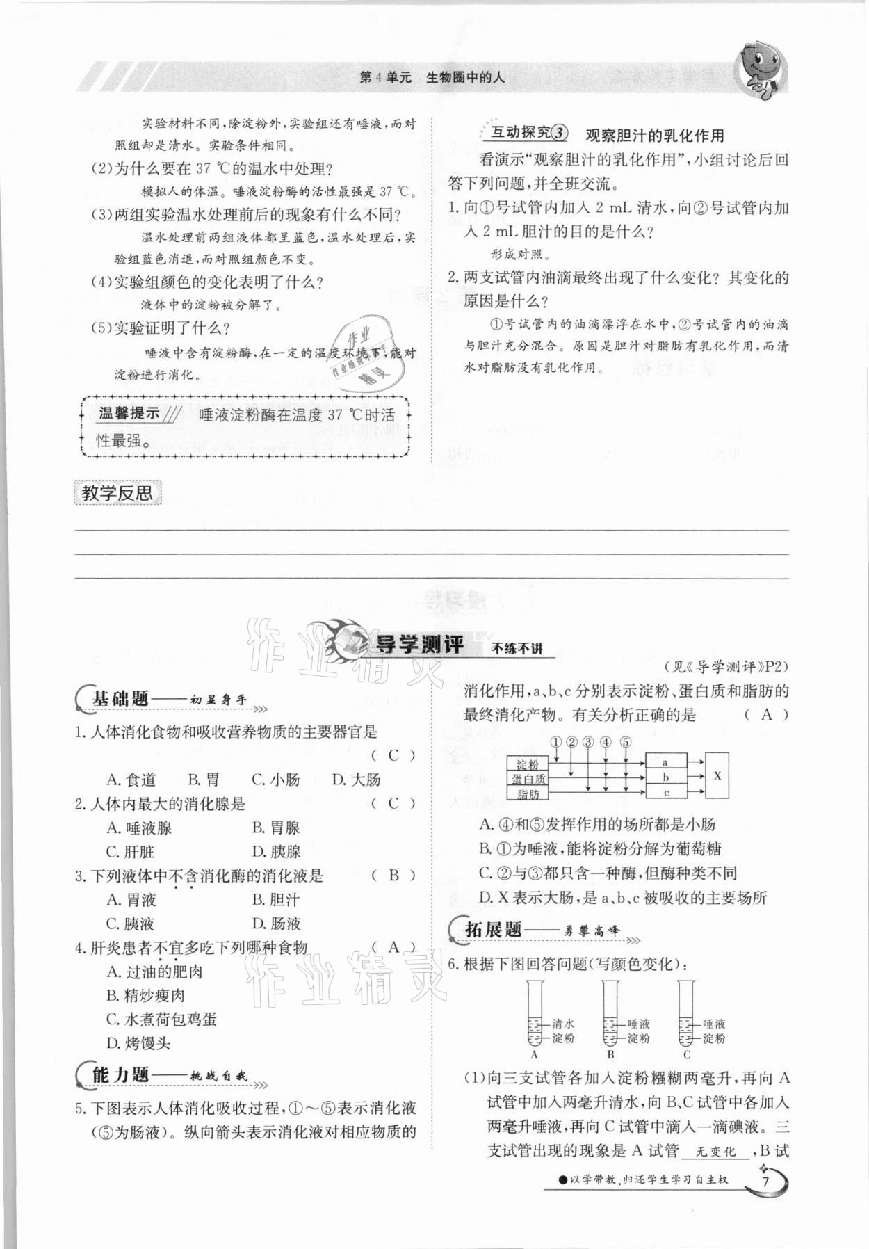 2021年金太陽(yáng)導(dǎo)學(xué)案七年級(jí)生物下冊(cè)北師大版 參考答案第7頁(yè)