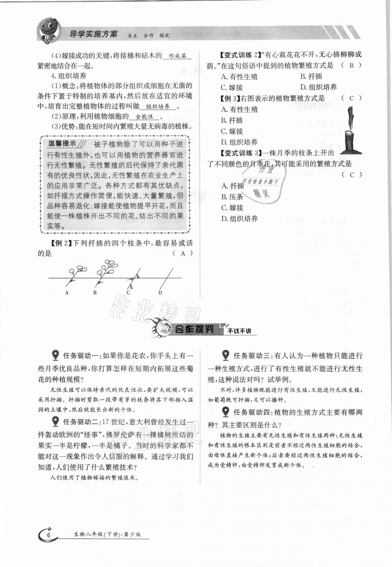 2021年金太阳导学案八年级生物下册冀少版 参考答案第6页