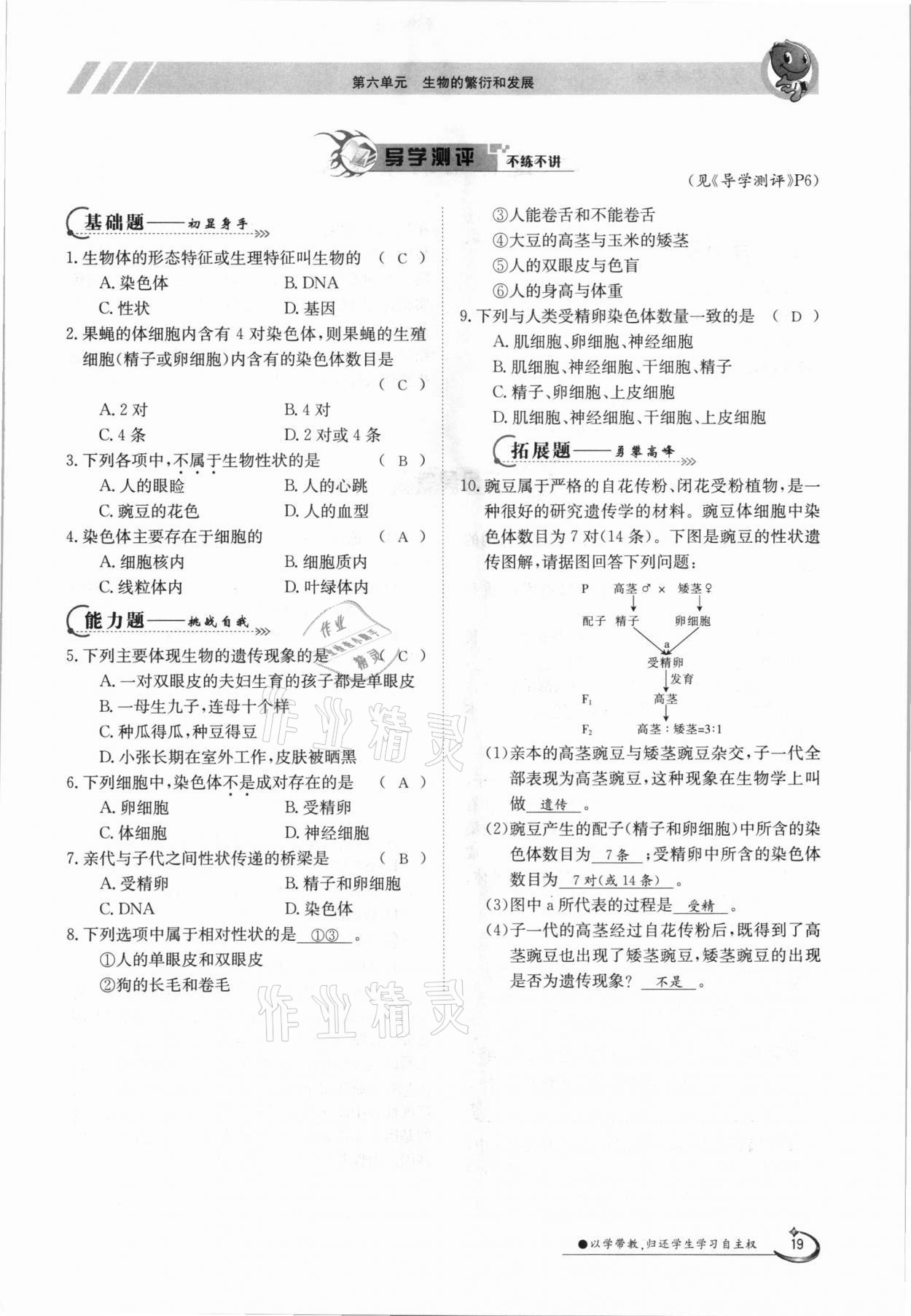 2021年金太阳导学案八年级生物下册冀少版 参考答案第19页