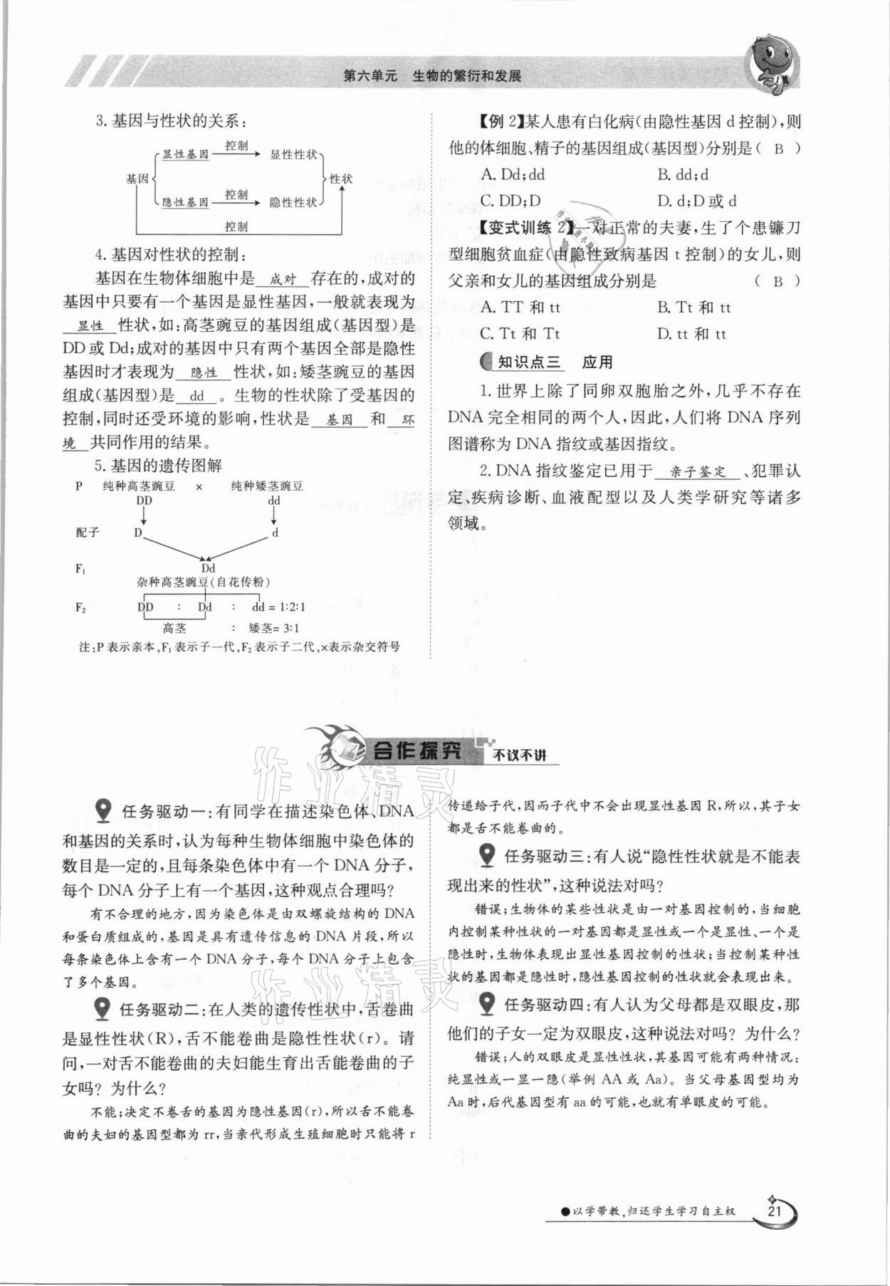 2021年金太阳导学案八年级生物下册冀少版 参考答案第21页