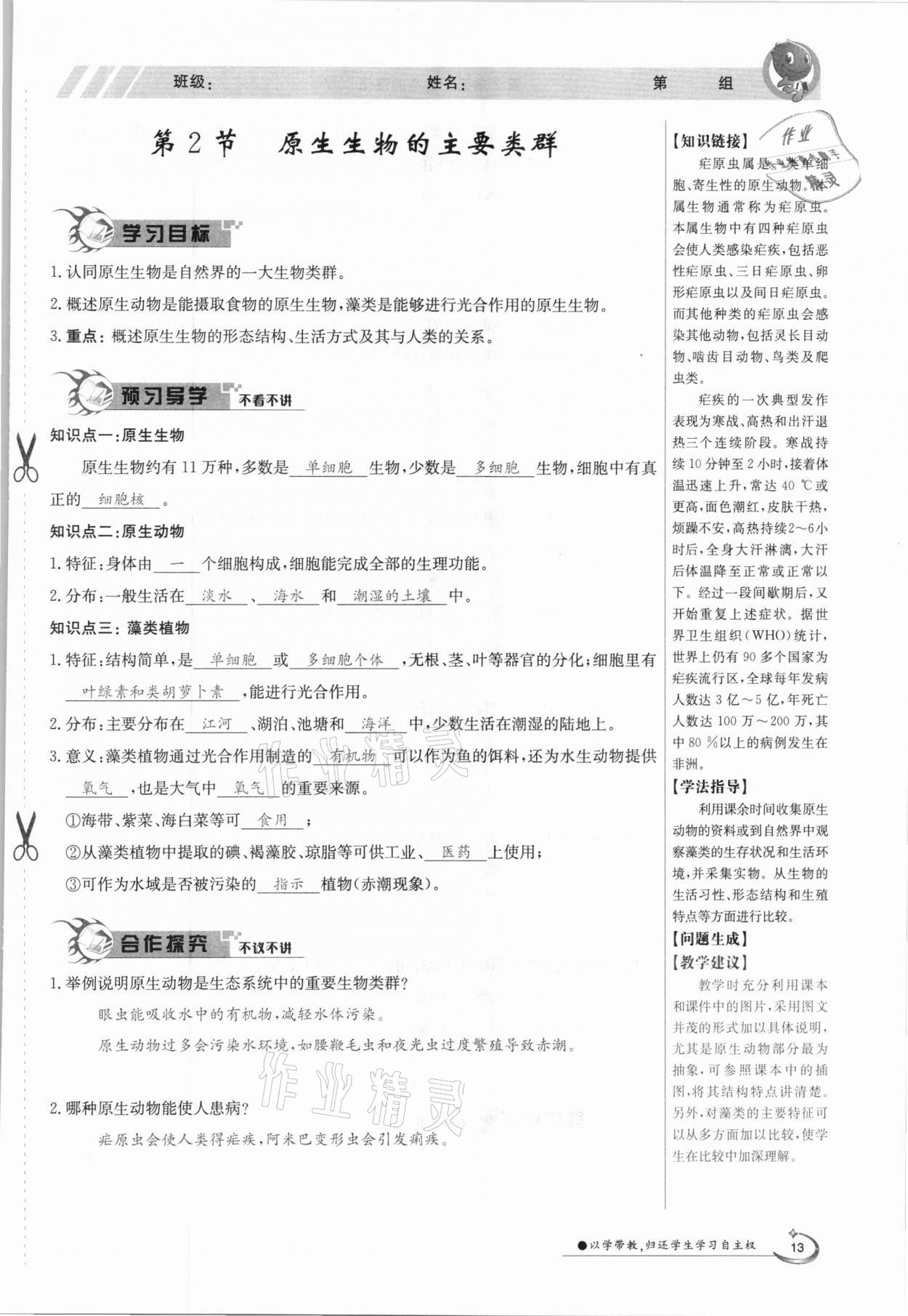 2021年金太阳导学案八年级生物下册北师大版 参考答案第13页