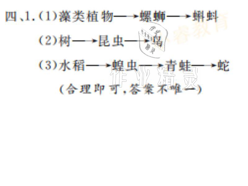 2021年湘岳假期寒假作業(yè)五年級科學教科版 參考答案第8頁