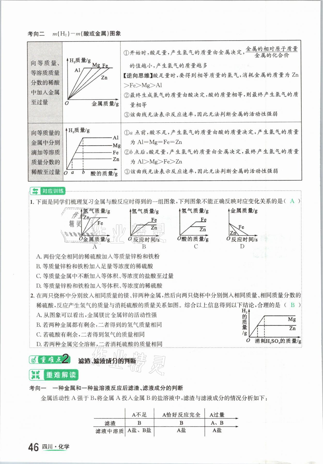 2021年中考2號化學(xué)四川專版 參考答案第46頁