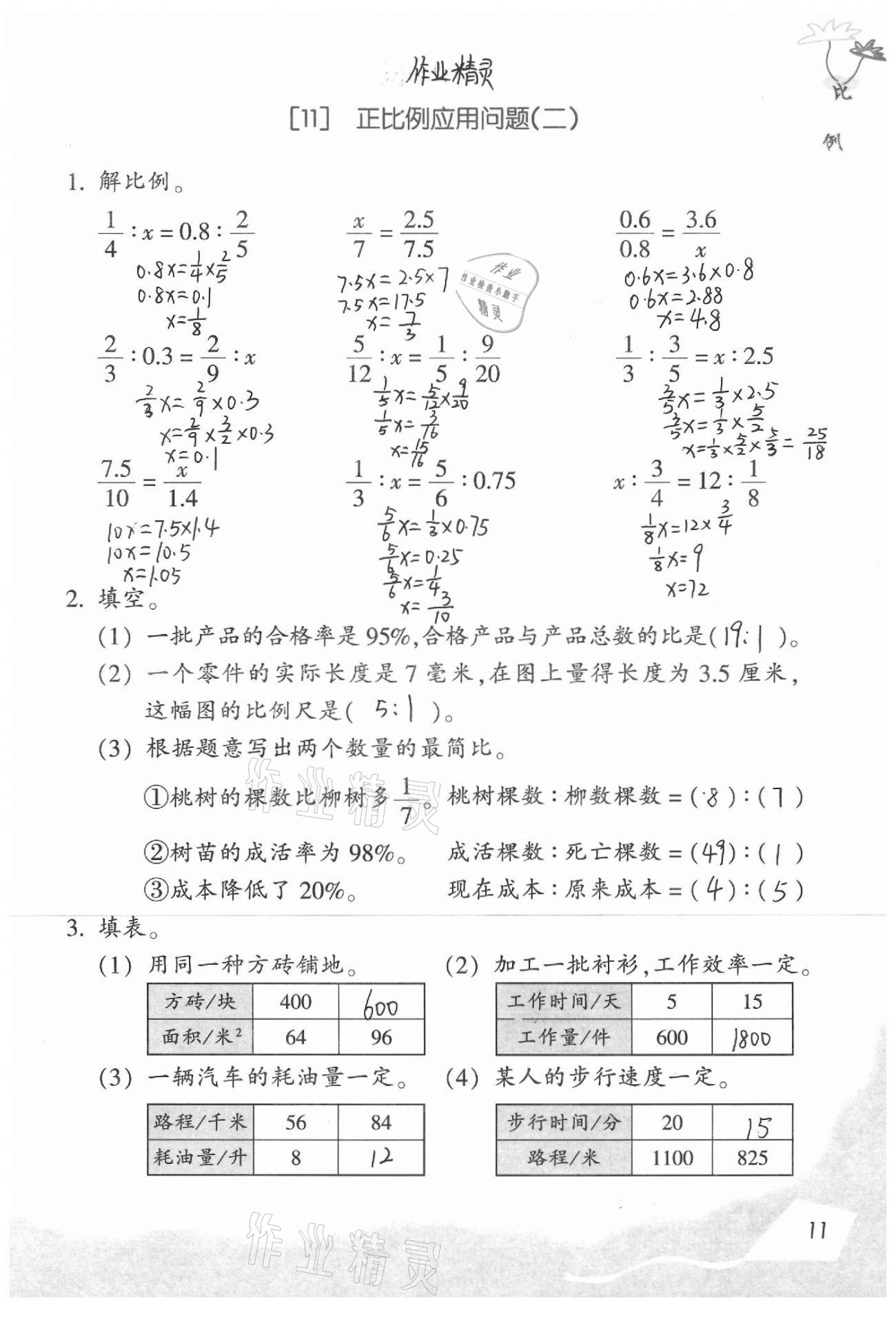 2021年数学基础天天练六年级下册浙教版 第13页