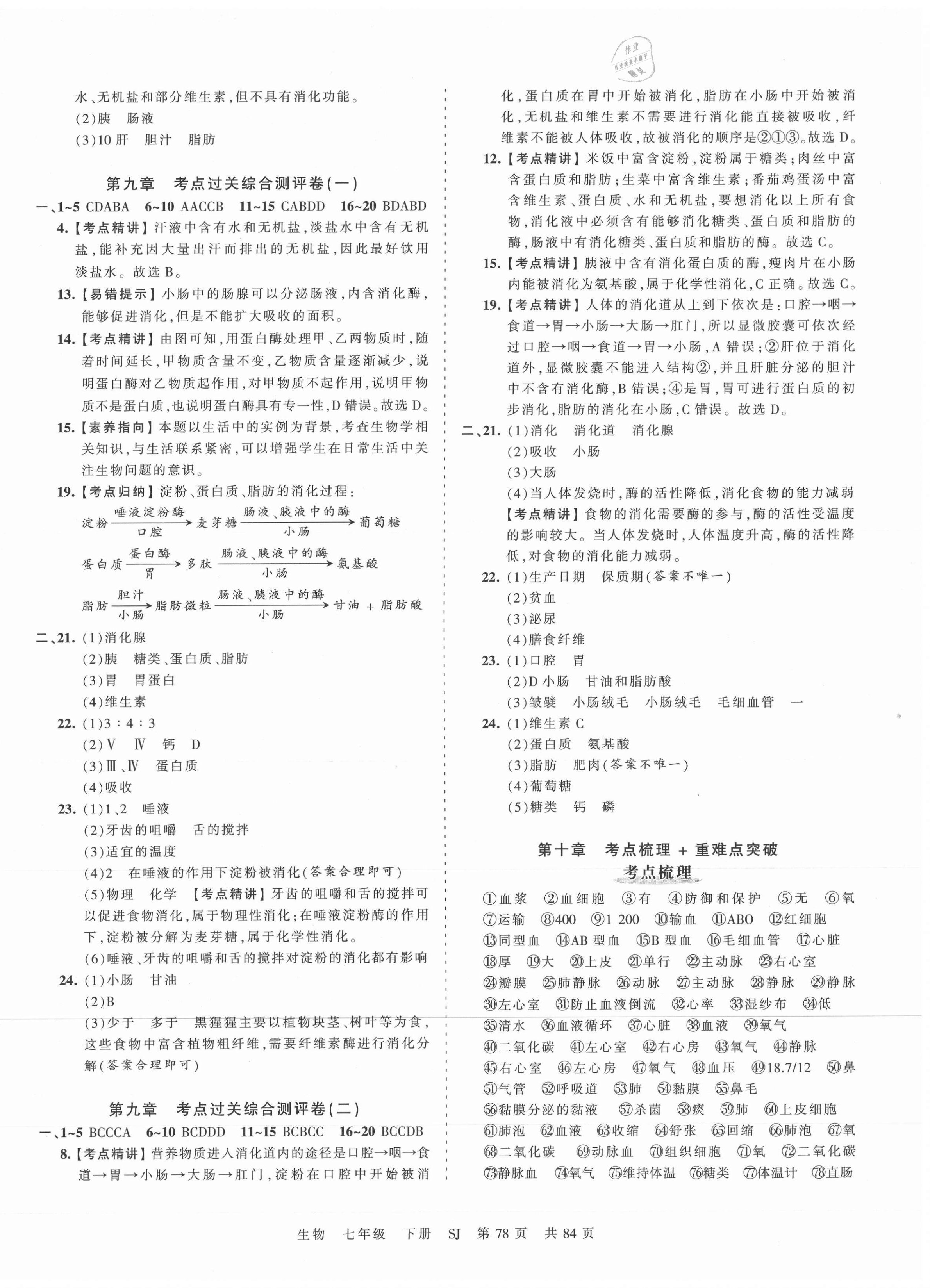 2021年王朝霞考点梳理时习卷七年级生物下册苏教版 第2页