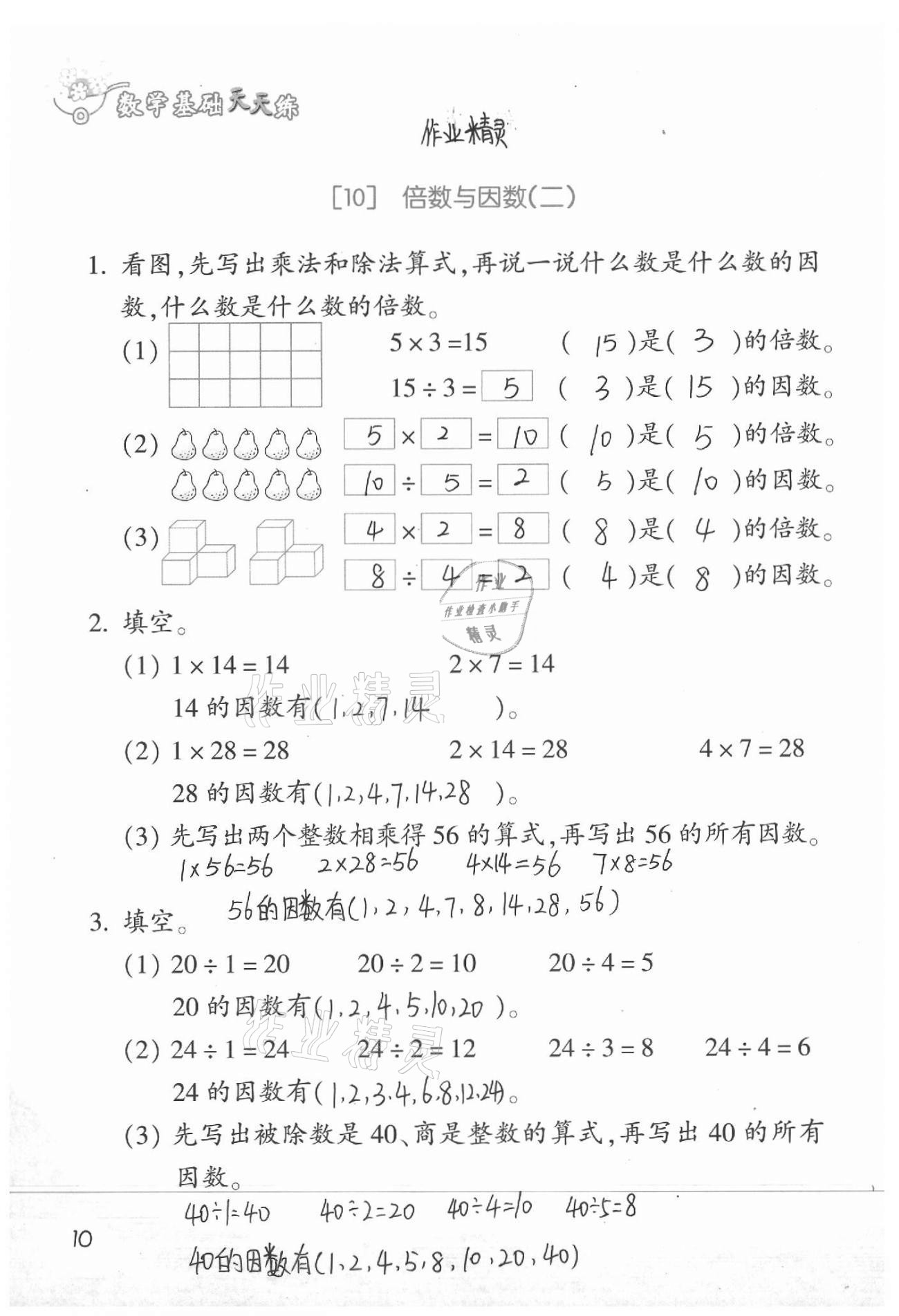 2021年基础天天练四年级数学下册浙教版 参考答案第10页