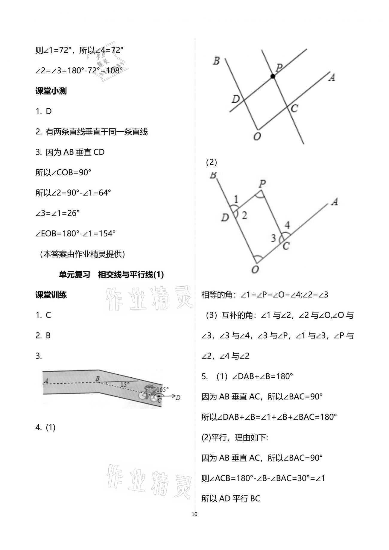 2021年初中數(shù)學活頁練習七年級下冊人教版 參考答案第10頁